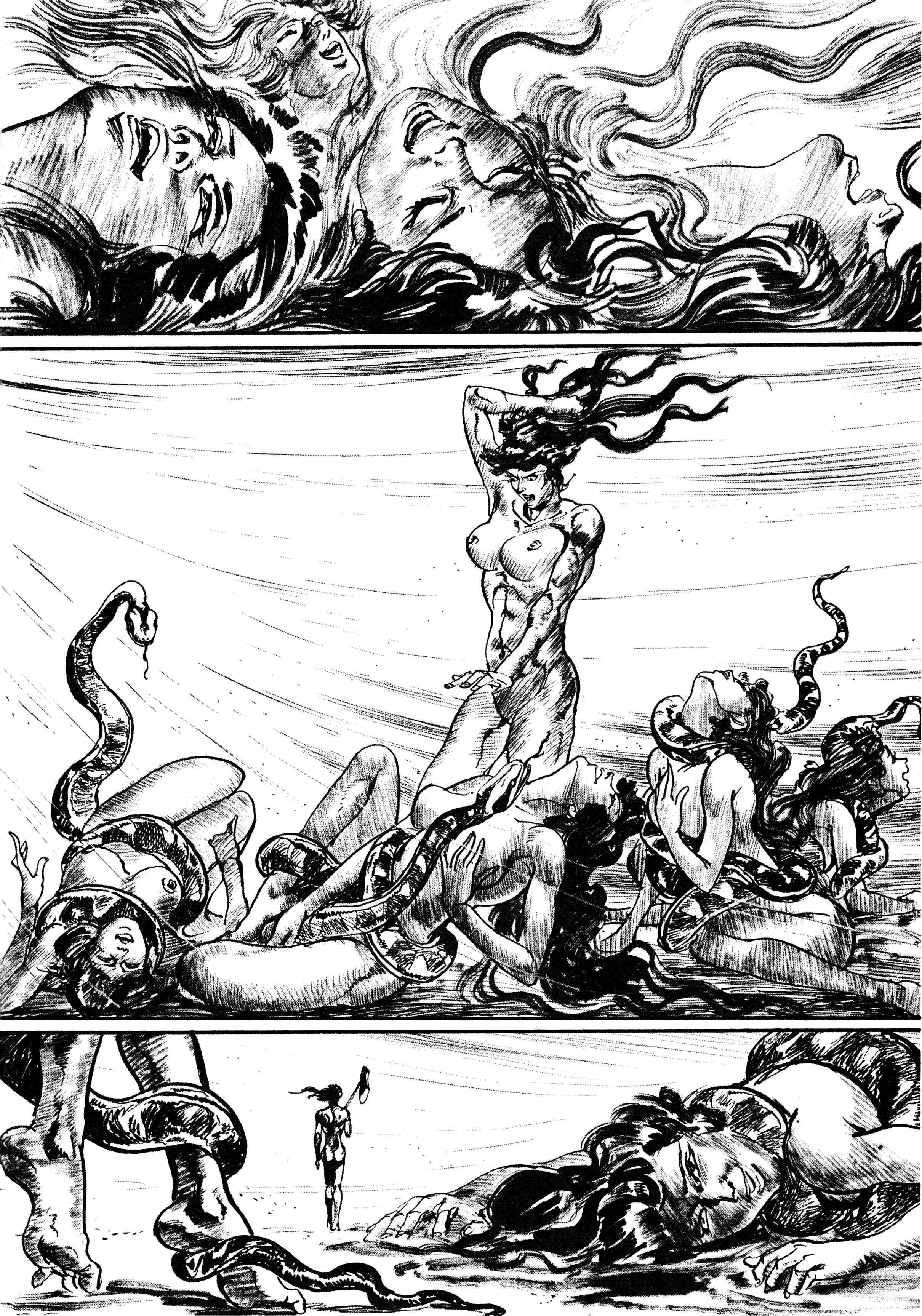 Page 25 Chapter 6 Savanna