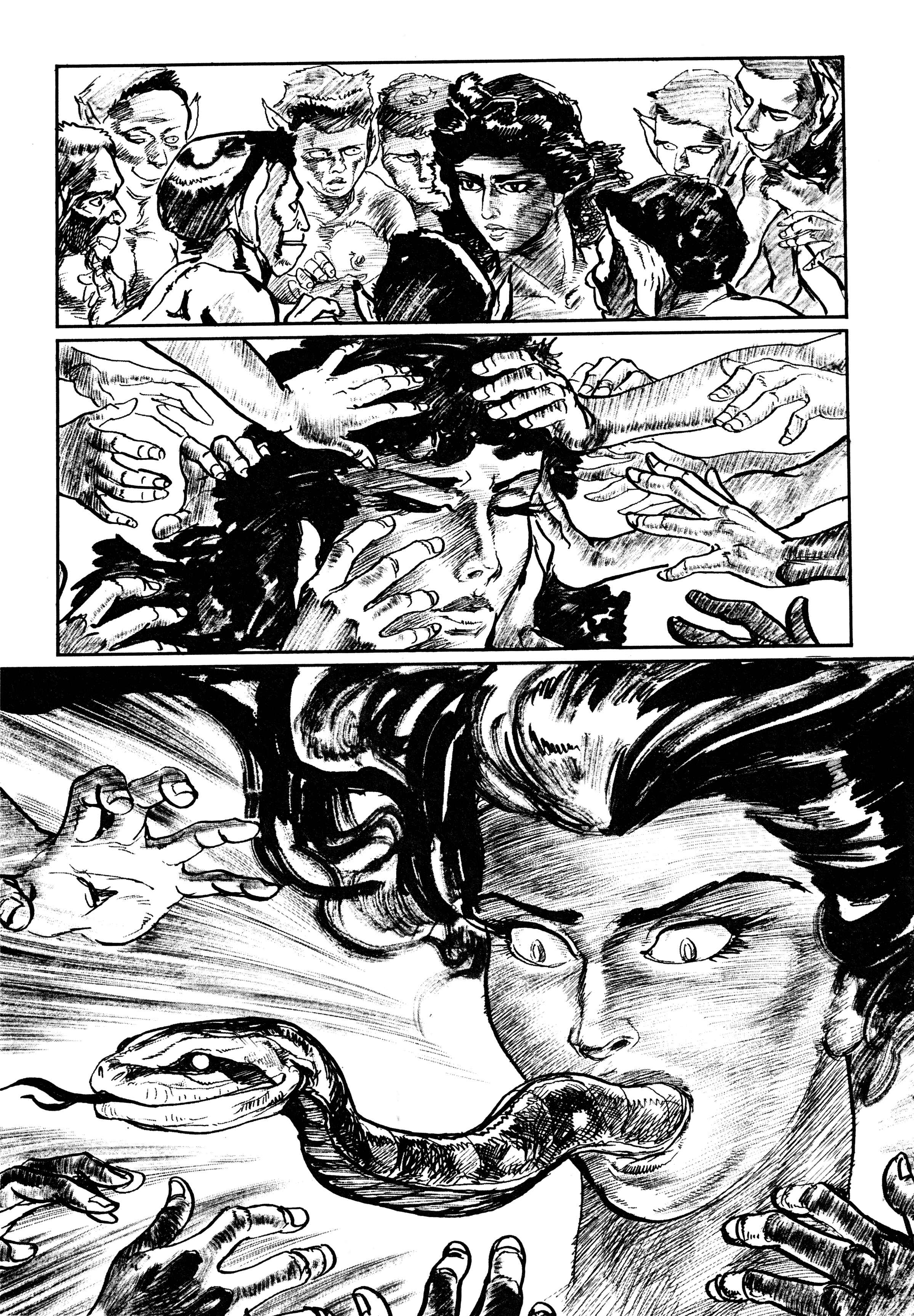 Page 28 Chapter 6 Savanna