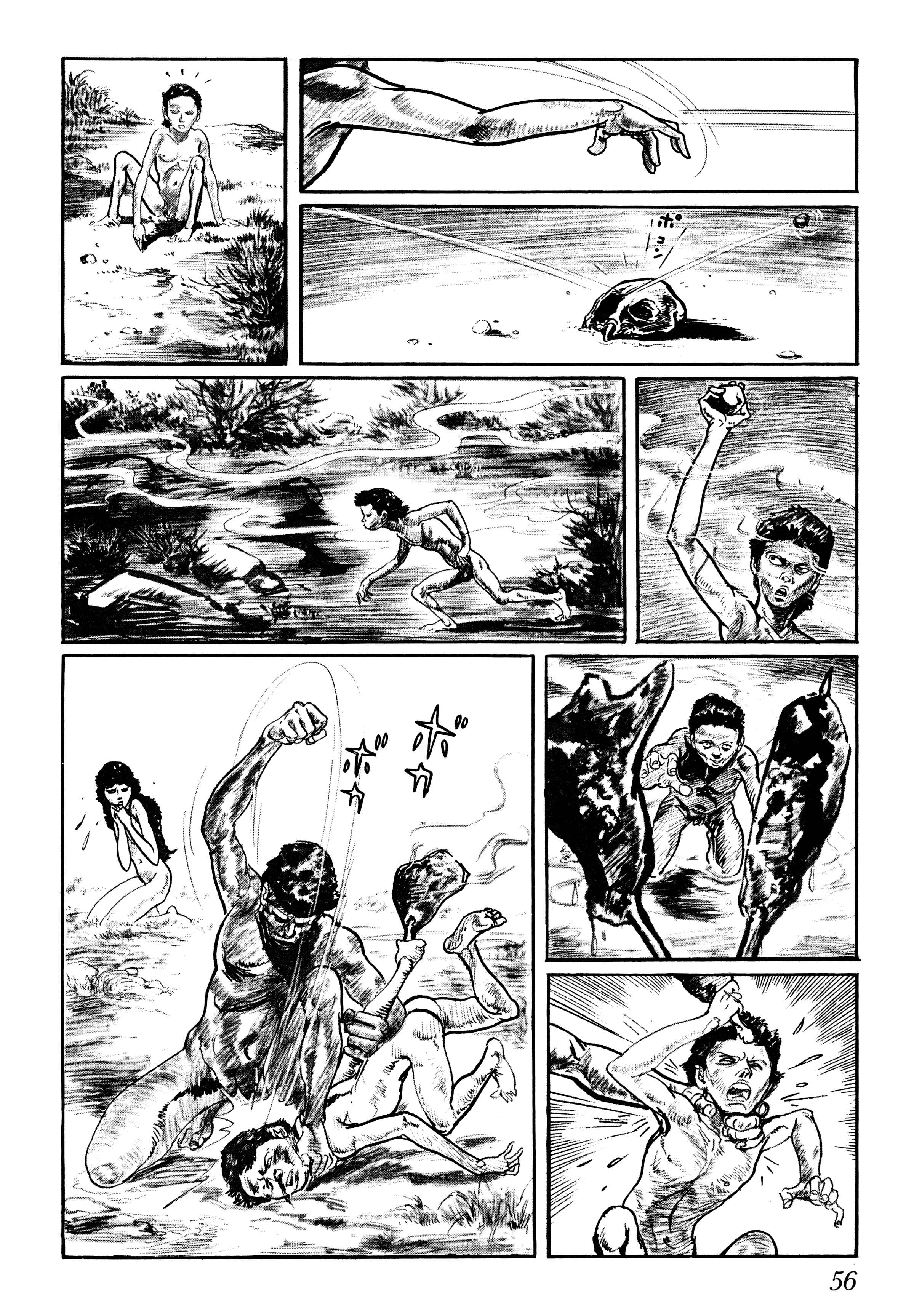 Page 11 Chapter 2 Savanna