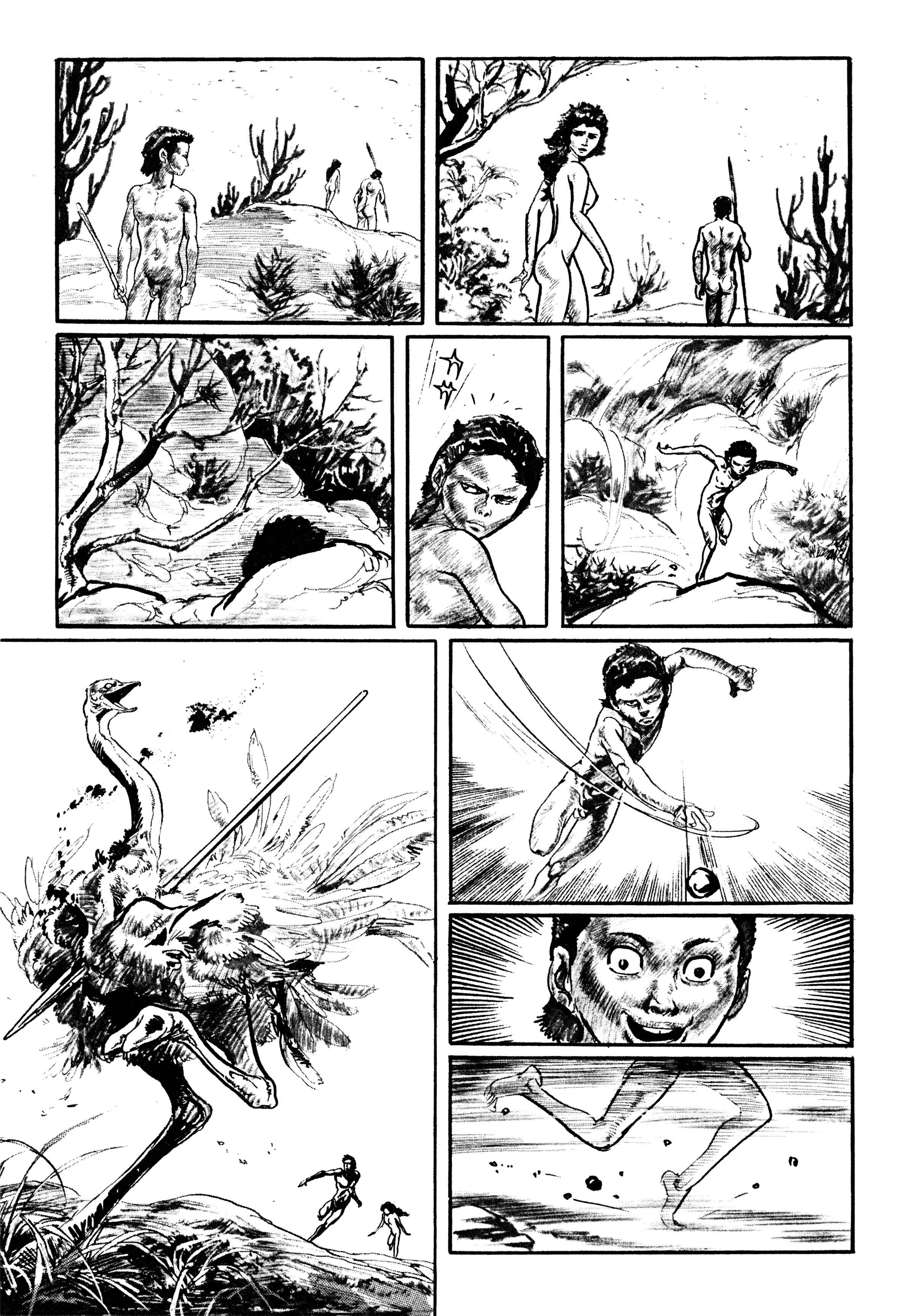 Page 14 Chapter 2 Savanna