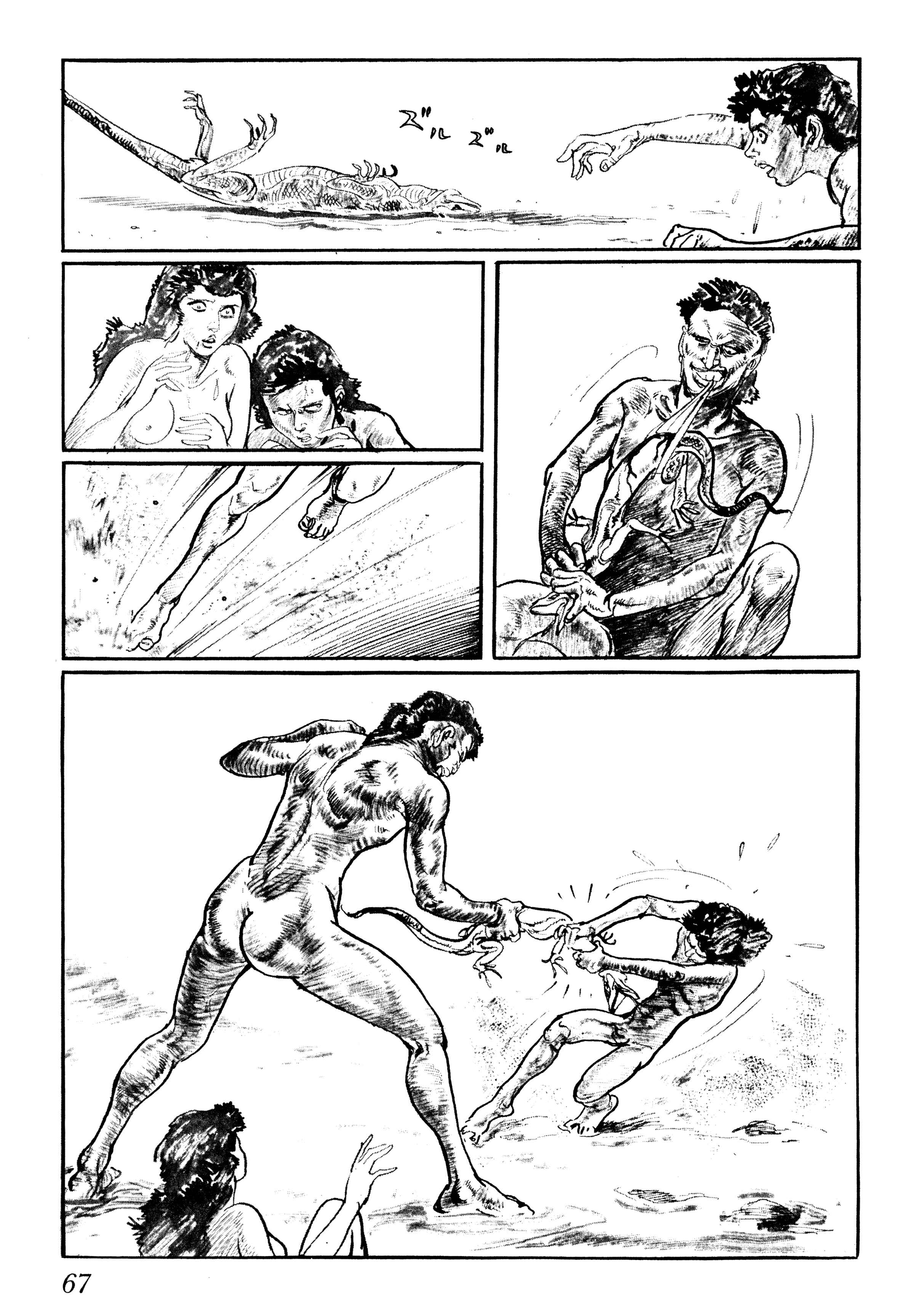 Page 21 Chapter 2 Savanna