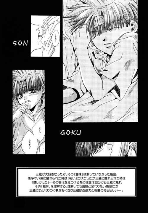 Page 20 Chapter 12 Saiyuki - As Far As I Can See, There Are Perfectly Clear Skies (Doujinshi)