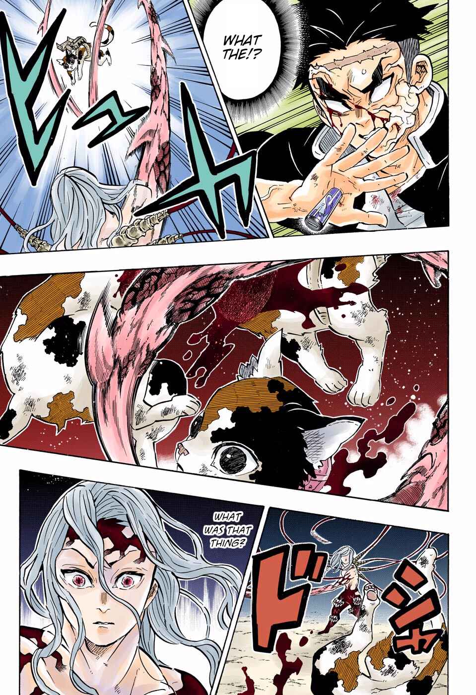 Page 13 Chapter 189 Demon Slayer: Kimetsu no Yaiba (Official Colored)
