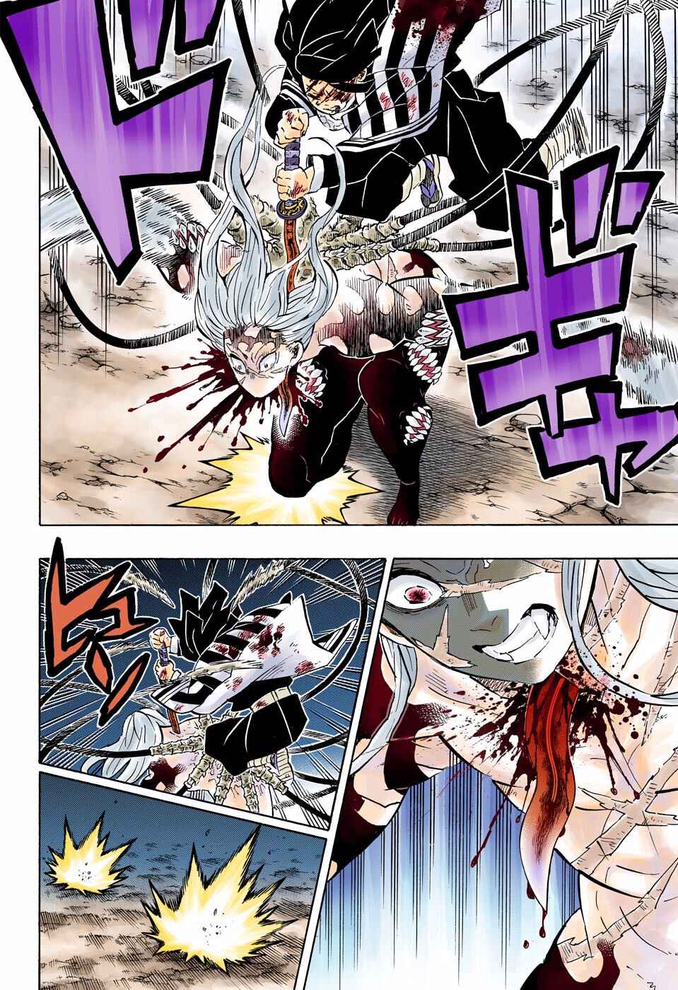 Page 12 Chapter 195 Demon Slayer: Kimetsu no Yaiba (Official Colored)