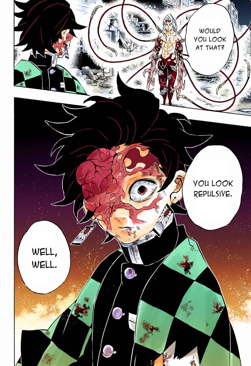 Page 21 Chapter 191 Demon Slayer: Kimetsu no Yaiba (Official Colored)