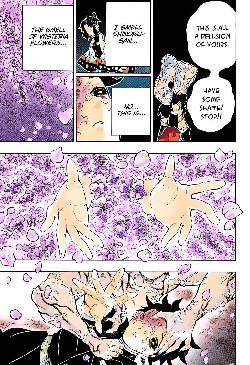 Page 9 Chapter 203 Demon Slayer: Kimetsu no Yaiba (Official Colored)