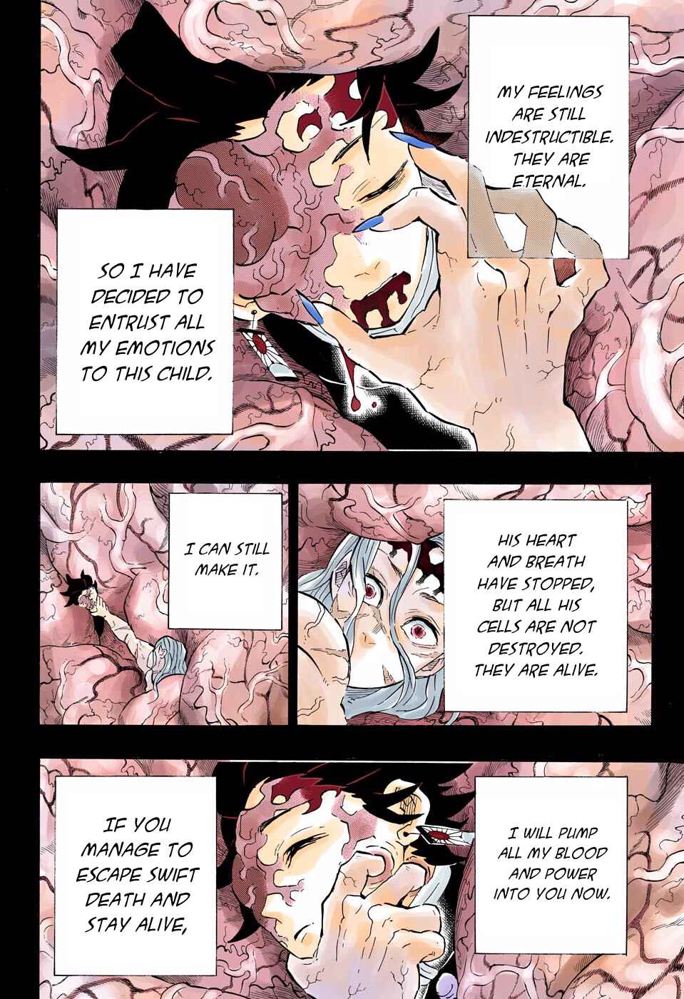 Page 4 Chapter 201 Demon Slayer: Kimetsu no Yaiba (Official Colored)
