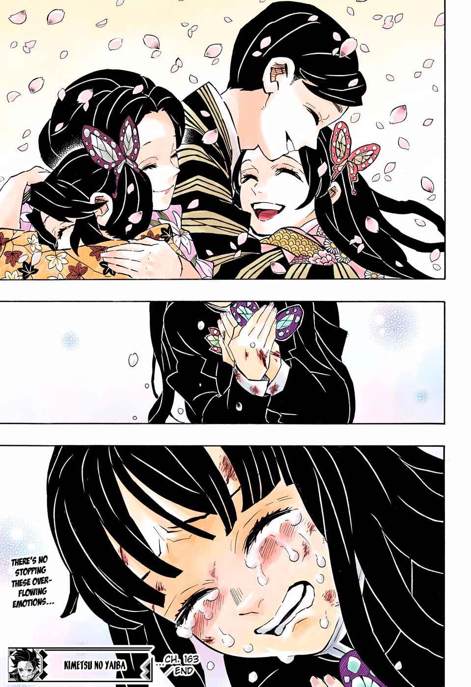 Page 19 Chapter 163 Demon Slayer: Kimetsu no Yaiba (Official Colored)
