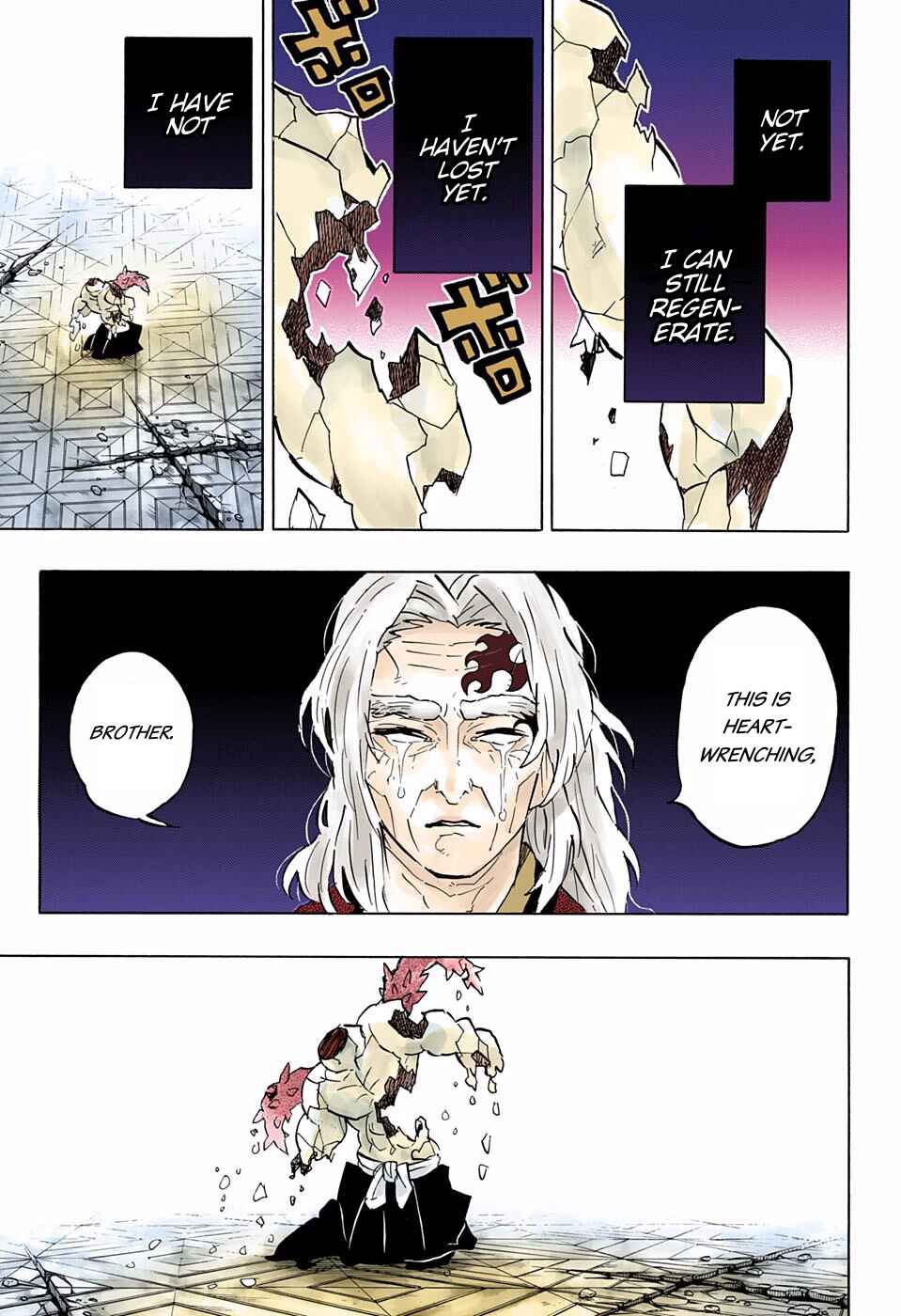 Page 17 Chapter 176 Demon Slayer: Kimetsu no Yaiba (Official Colored)