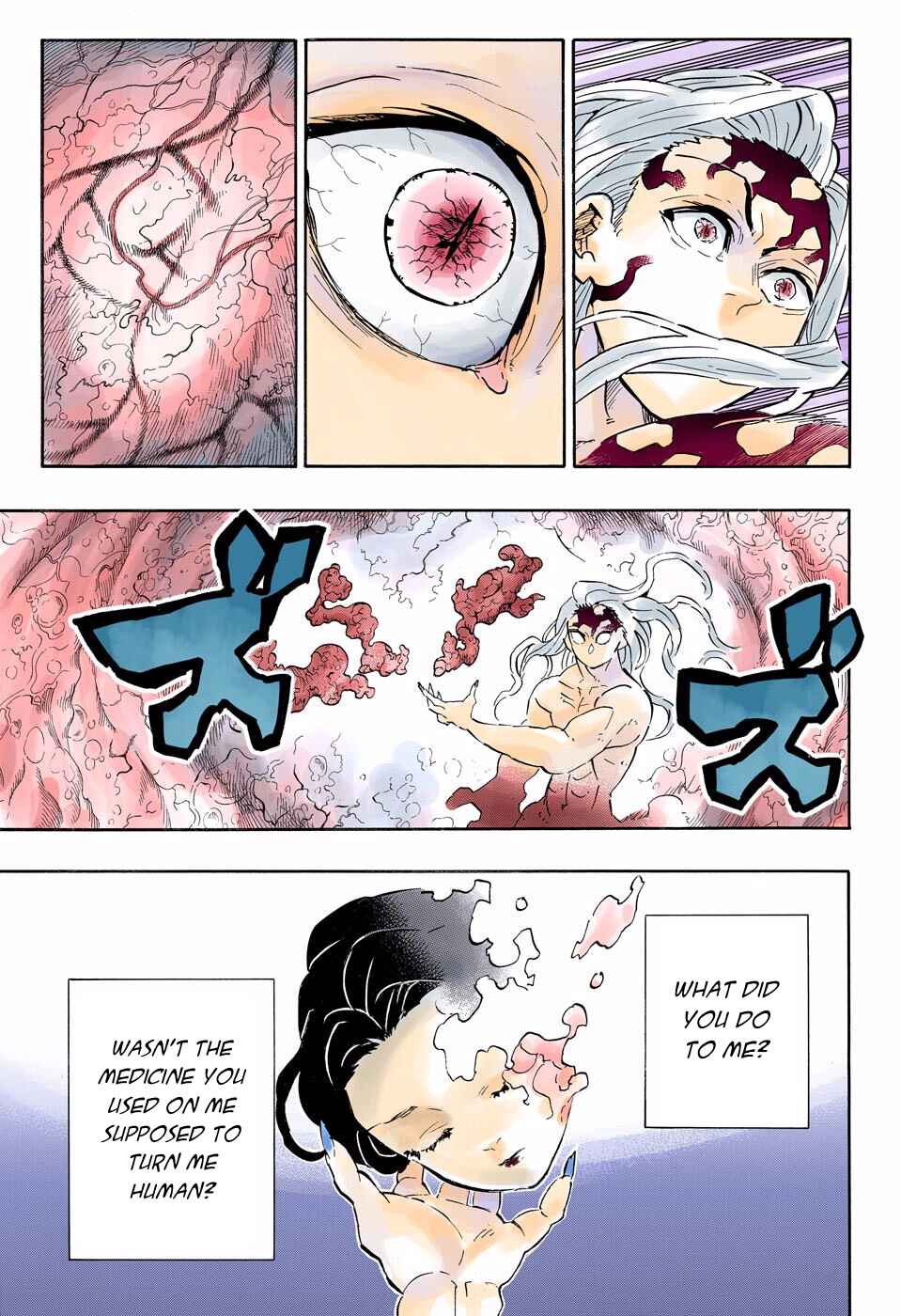 Page 15 Chapter 193 Demon Slayer: Kimetsu no Yaiba (Official Colored)