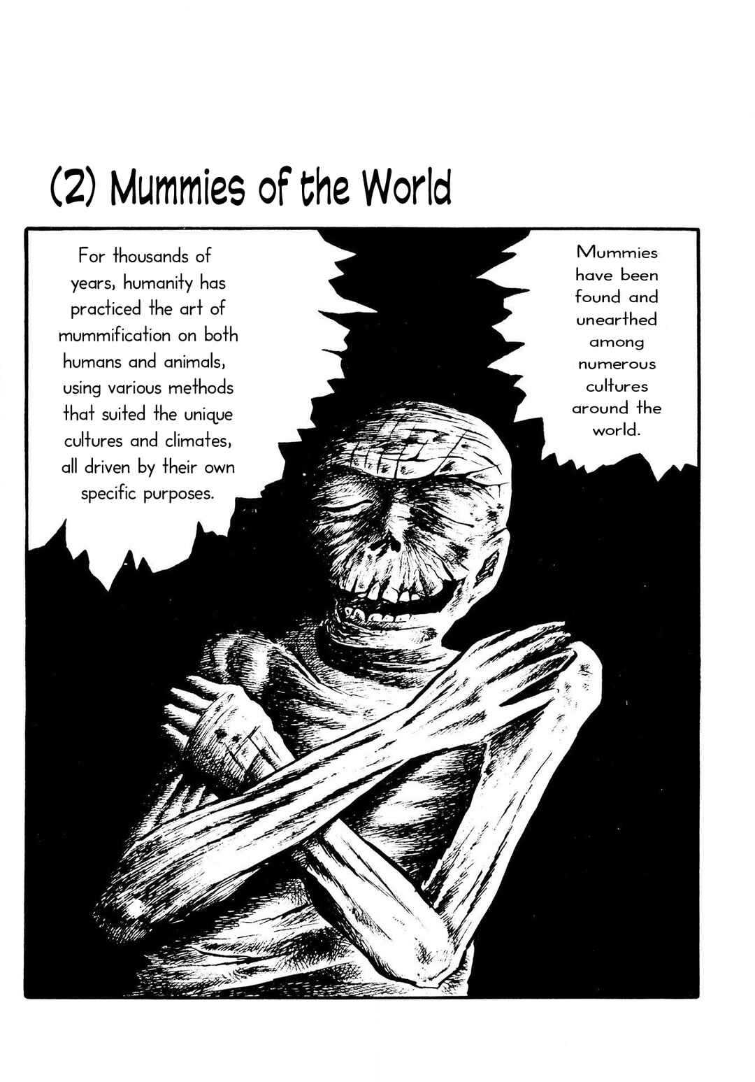 Page 1 Chapter 2 The Mummys Demon Realm