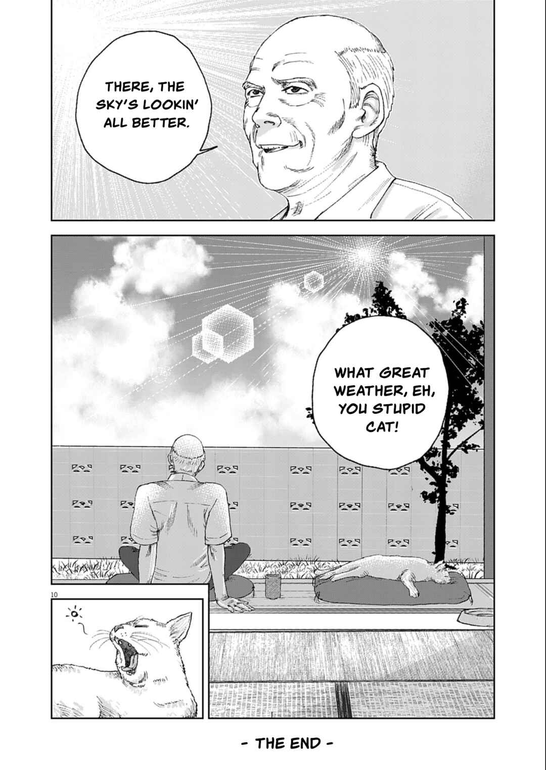 Page 10 Chapter Unknown_dab4 Old man and the cat