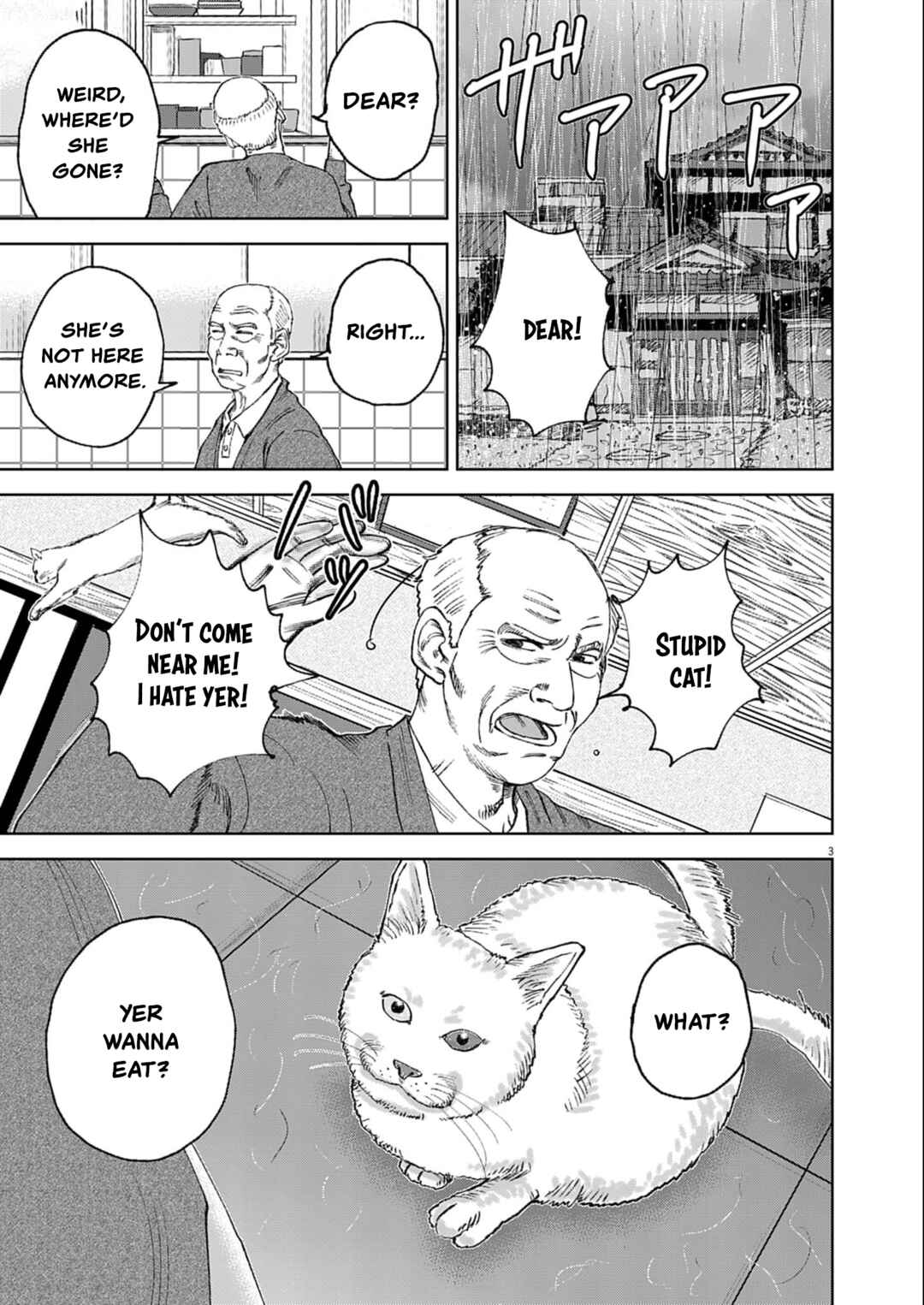 Page 3 Chapter Unknown_dab4 Old man and the cat