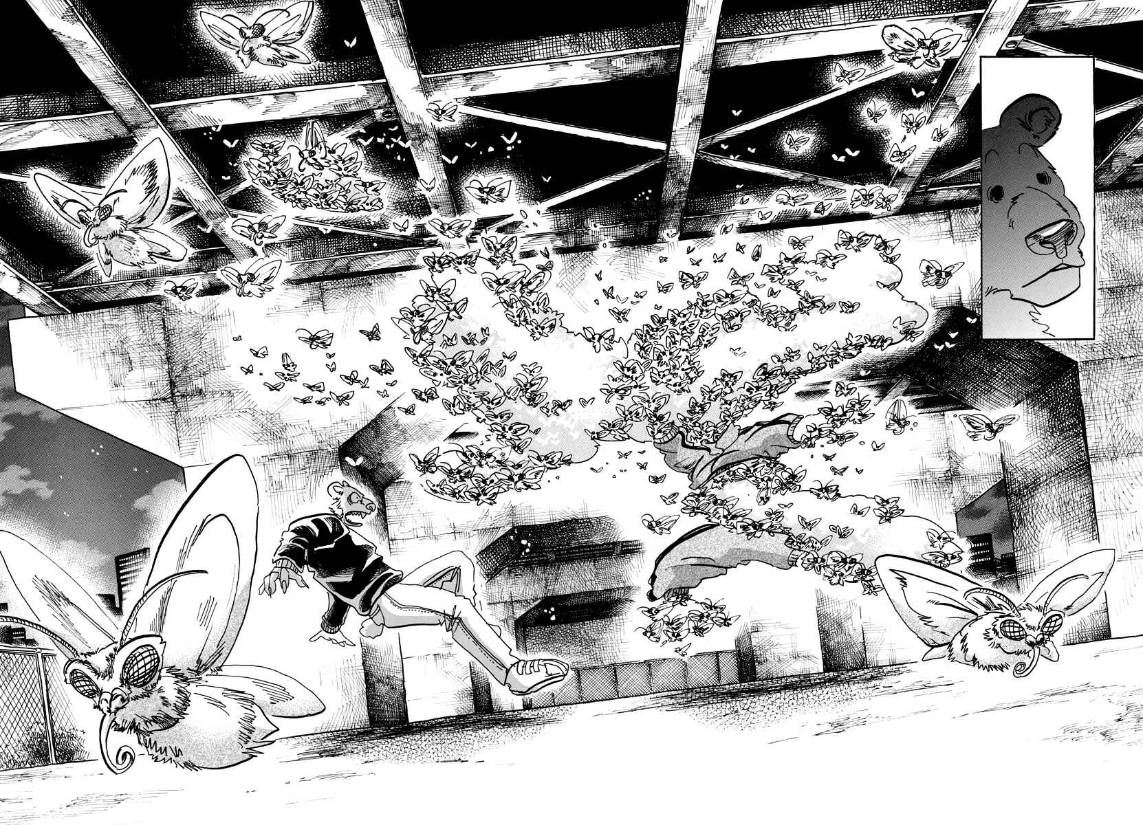 Page 12 Chapter 93 BEASTARS