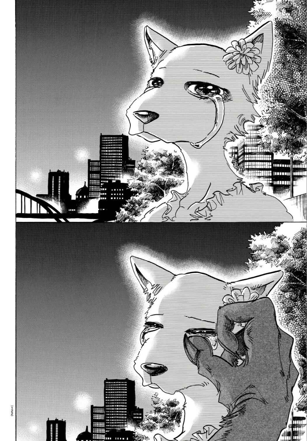 Page 17 Chapter 86 BEASTARS