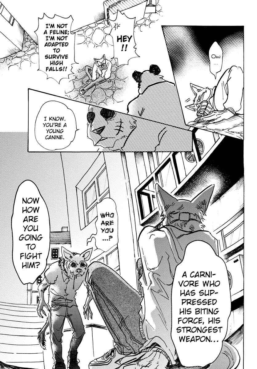 Page 13 Chapter 68 BEASTARS