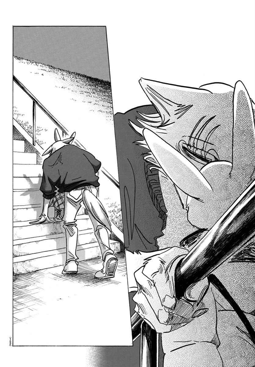 Page 16 Chapter 173 BEASTARS