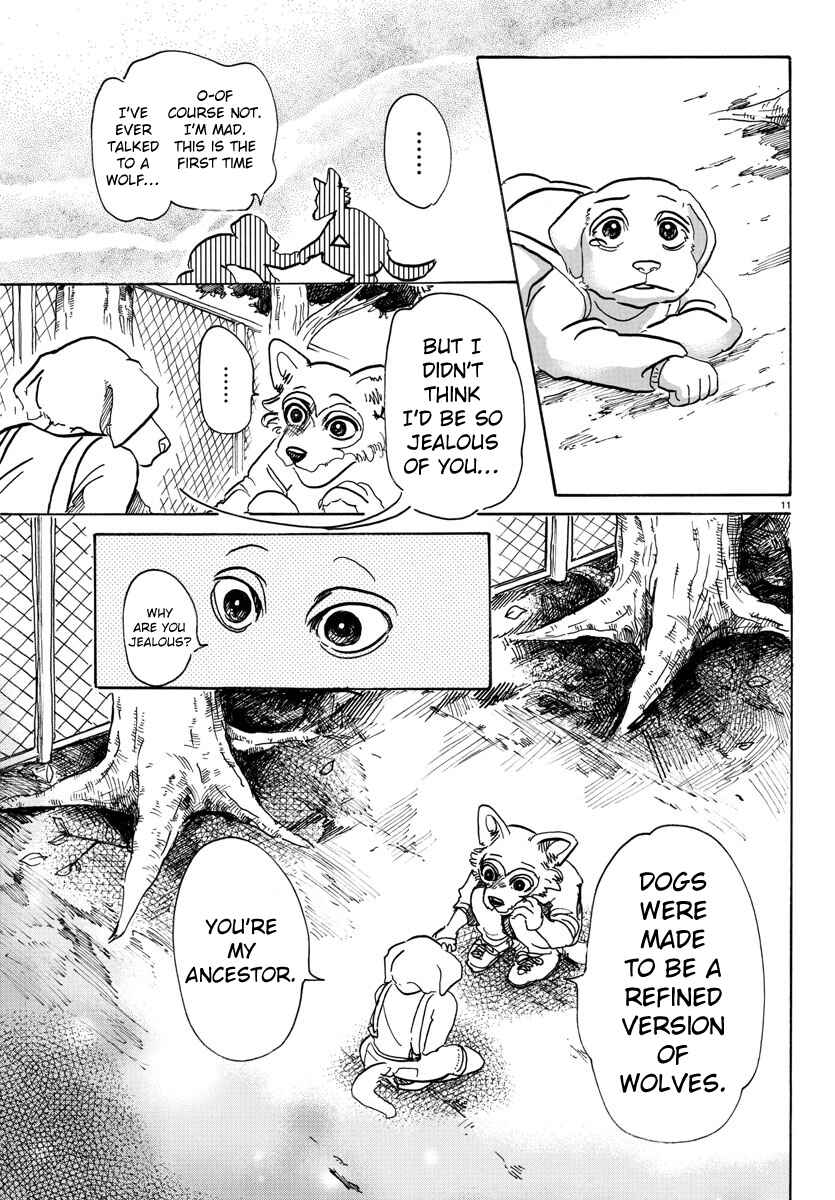 Page 11 Chapter 49 BEASTARS
