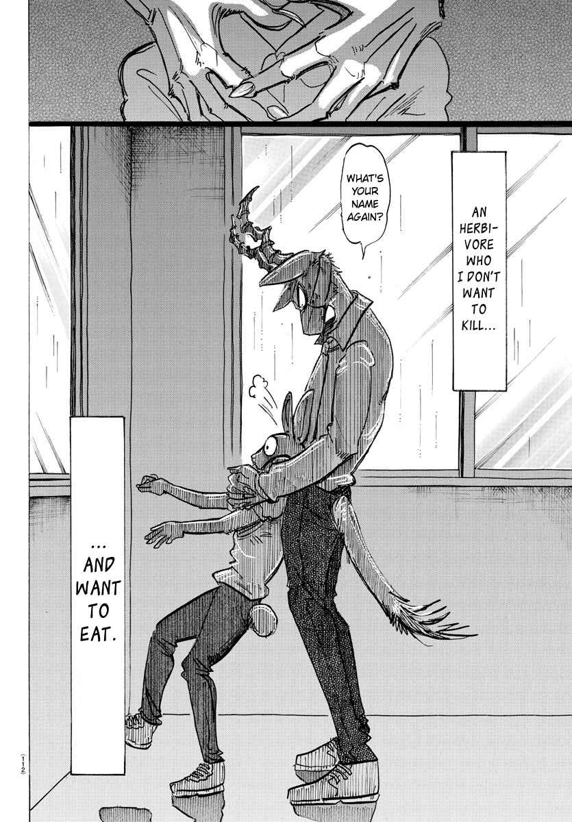 Page 19 Chapter 146 BEASTARS