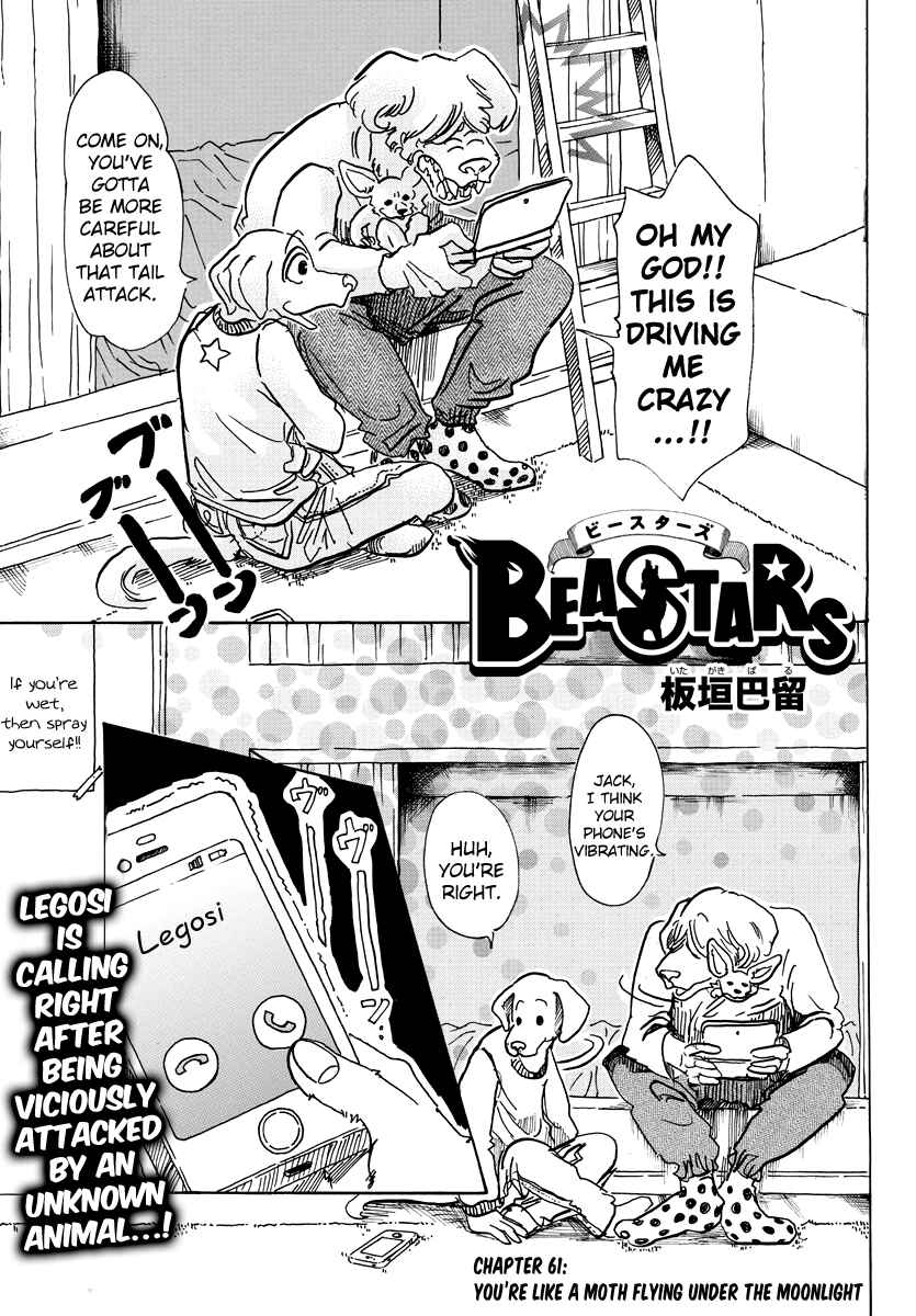 Page 1 Chapter 61 BEASTARS