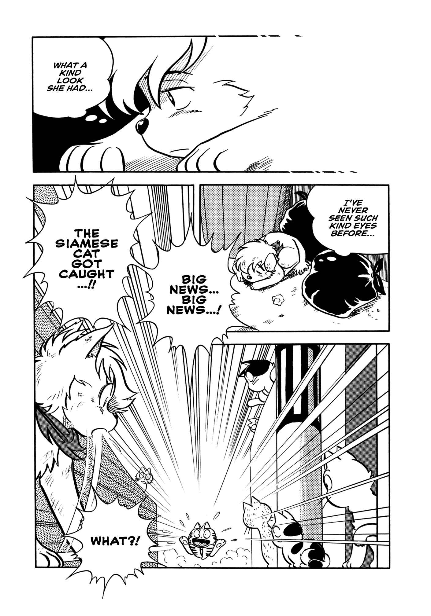 Page 18 Chapter 4 Sun Dog Zero