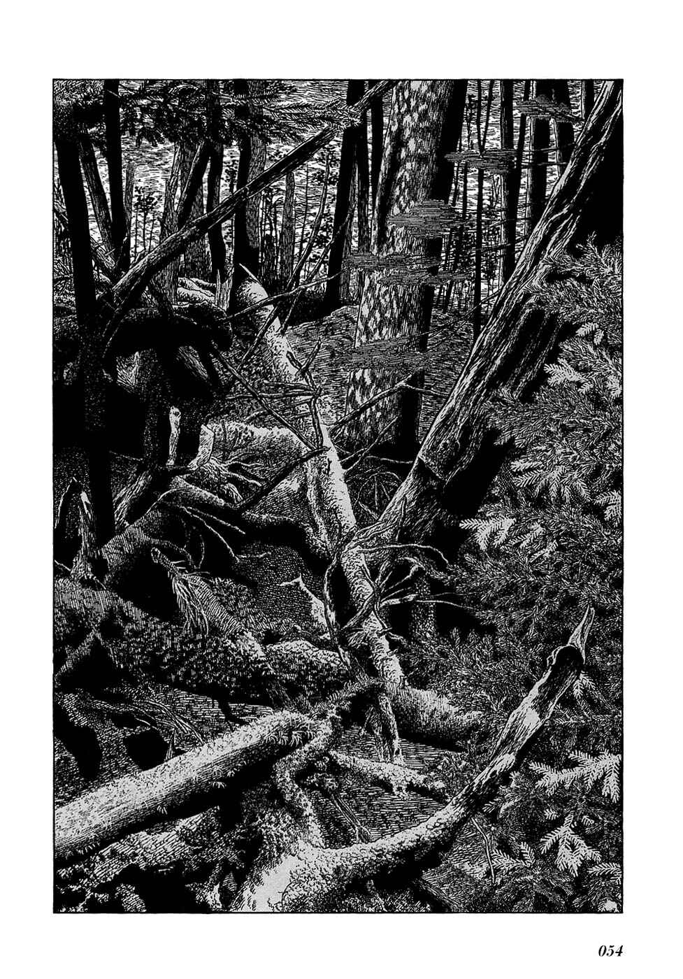 Page 12 Chapter 19 Ryus Road
