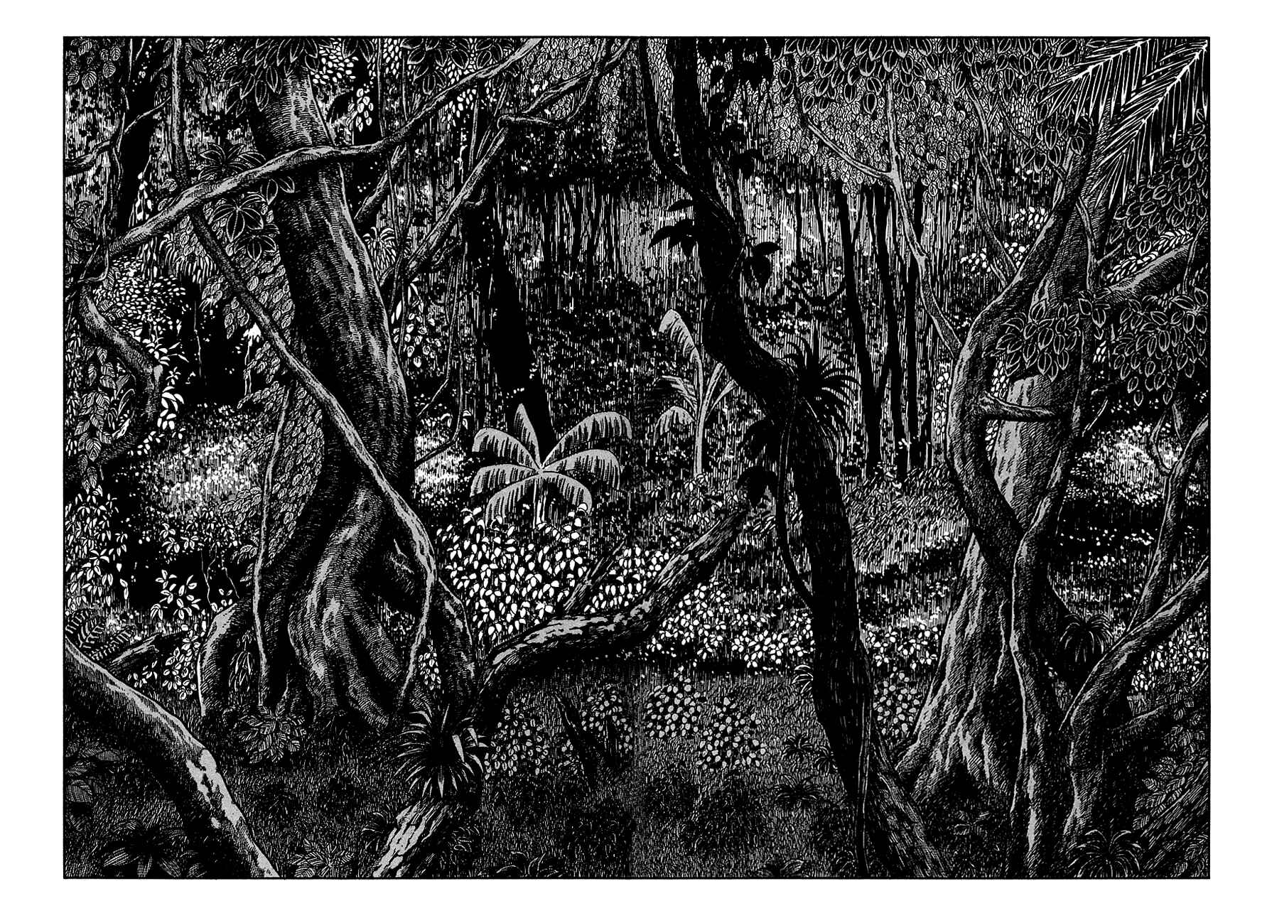 Page 6 Chapter 7 Ryus Road