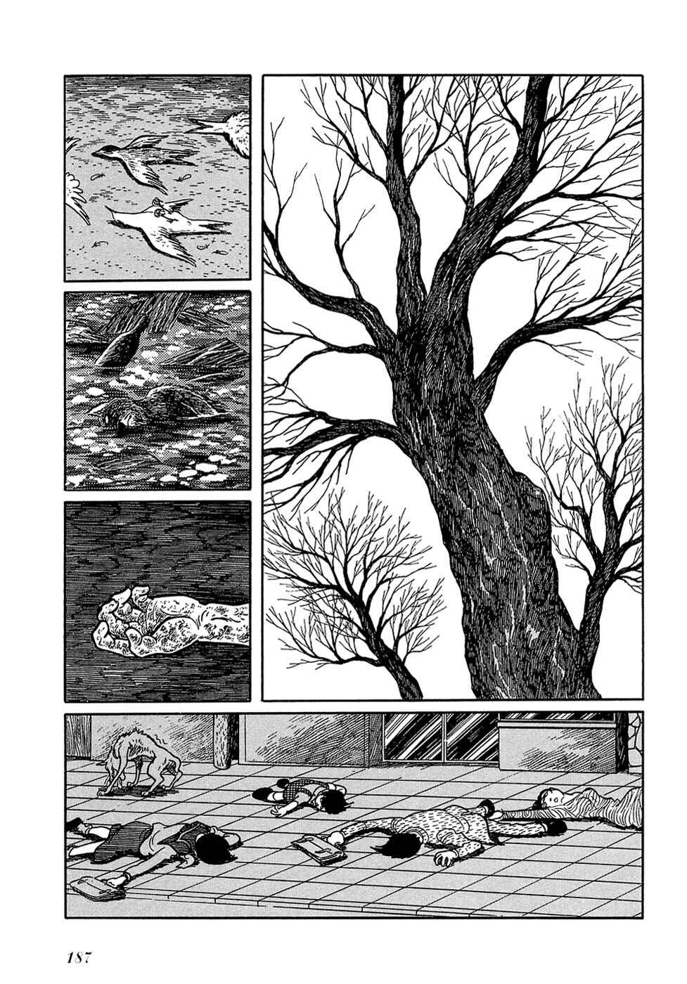 Page 29 Chapter 27.2 Ryus Road