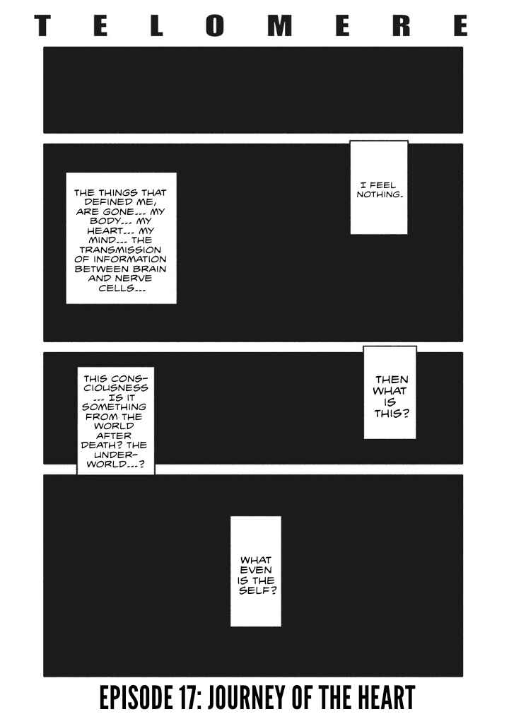Page 3 Chapter 17 TELOMERE
