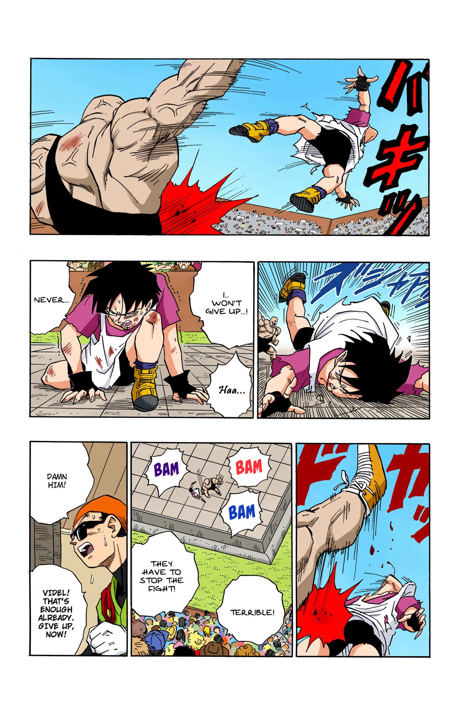 Page 13 Chapter 441 Dragon Ball (Official Colored)