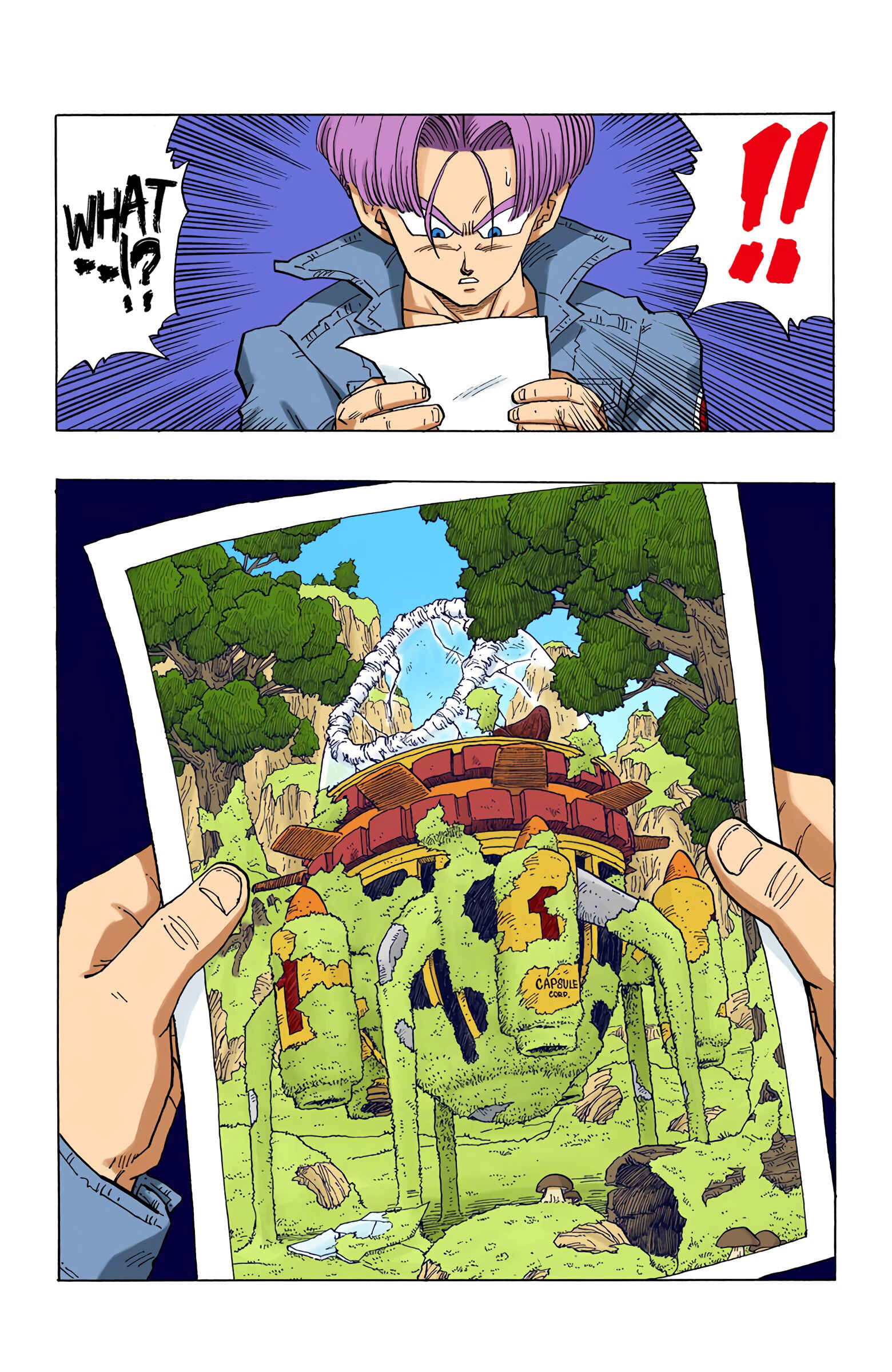 Page 15 Chapter 357 Dragon Ball (Official Colored)