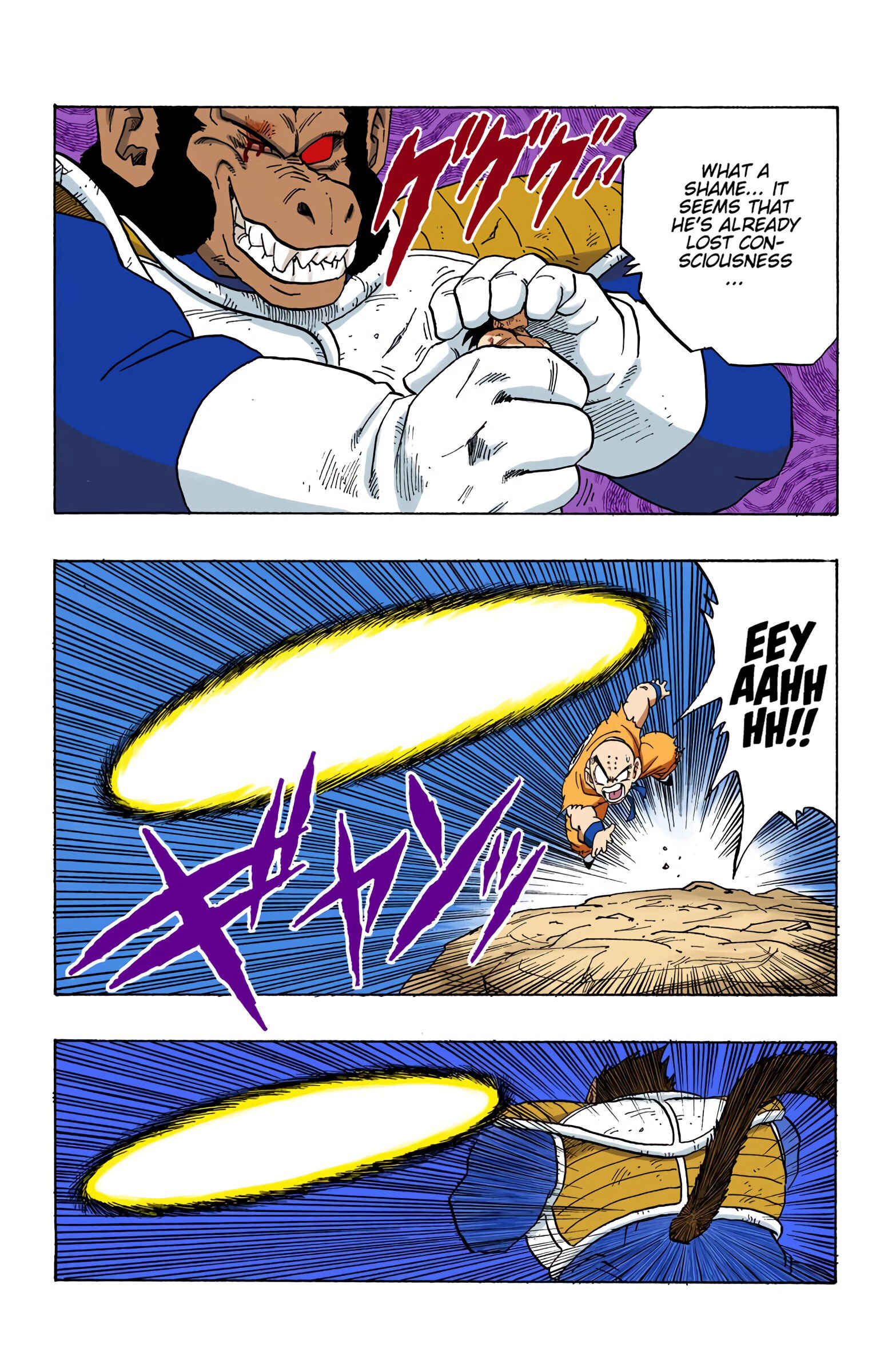 Page 10 Chapter 235 Dragon Ball (Official Colored)