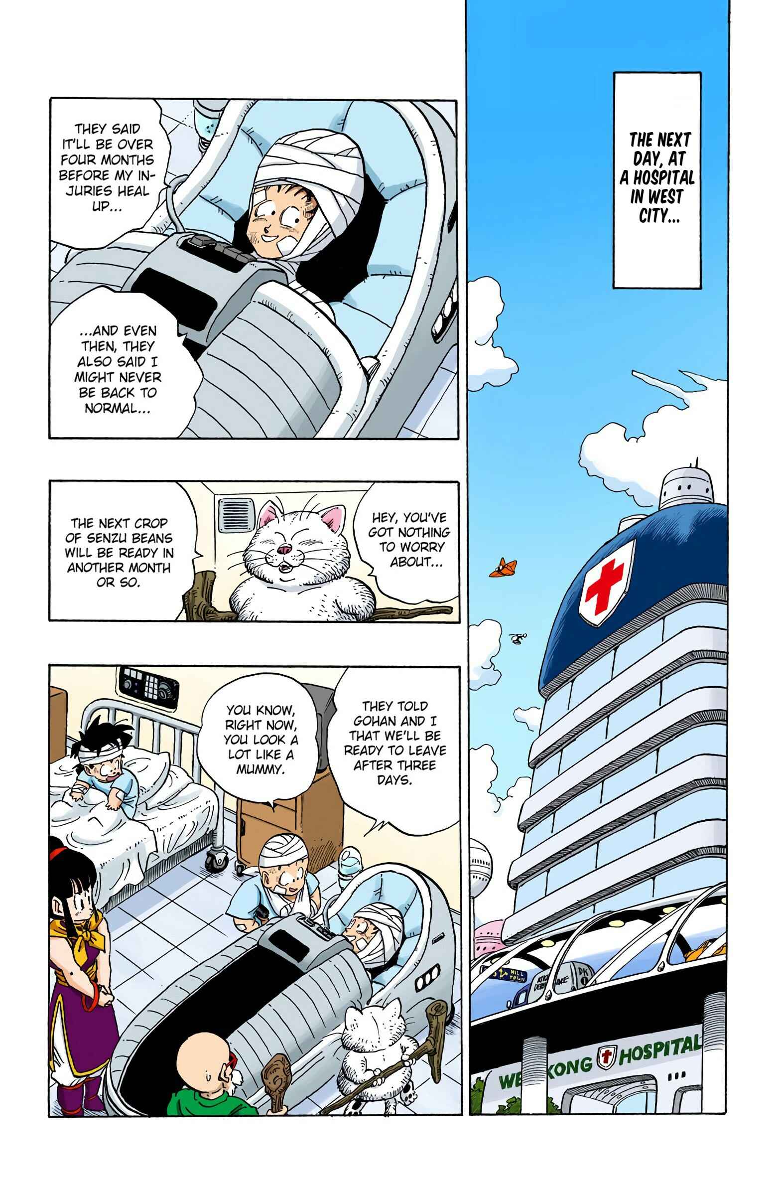 Page 10 Chapter 243 Dragon Ball (Official Colored)