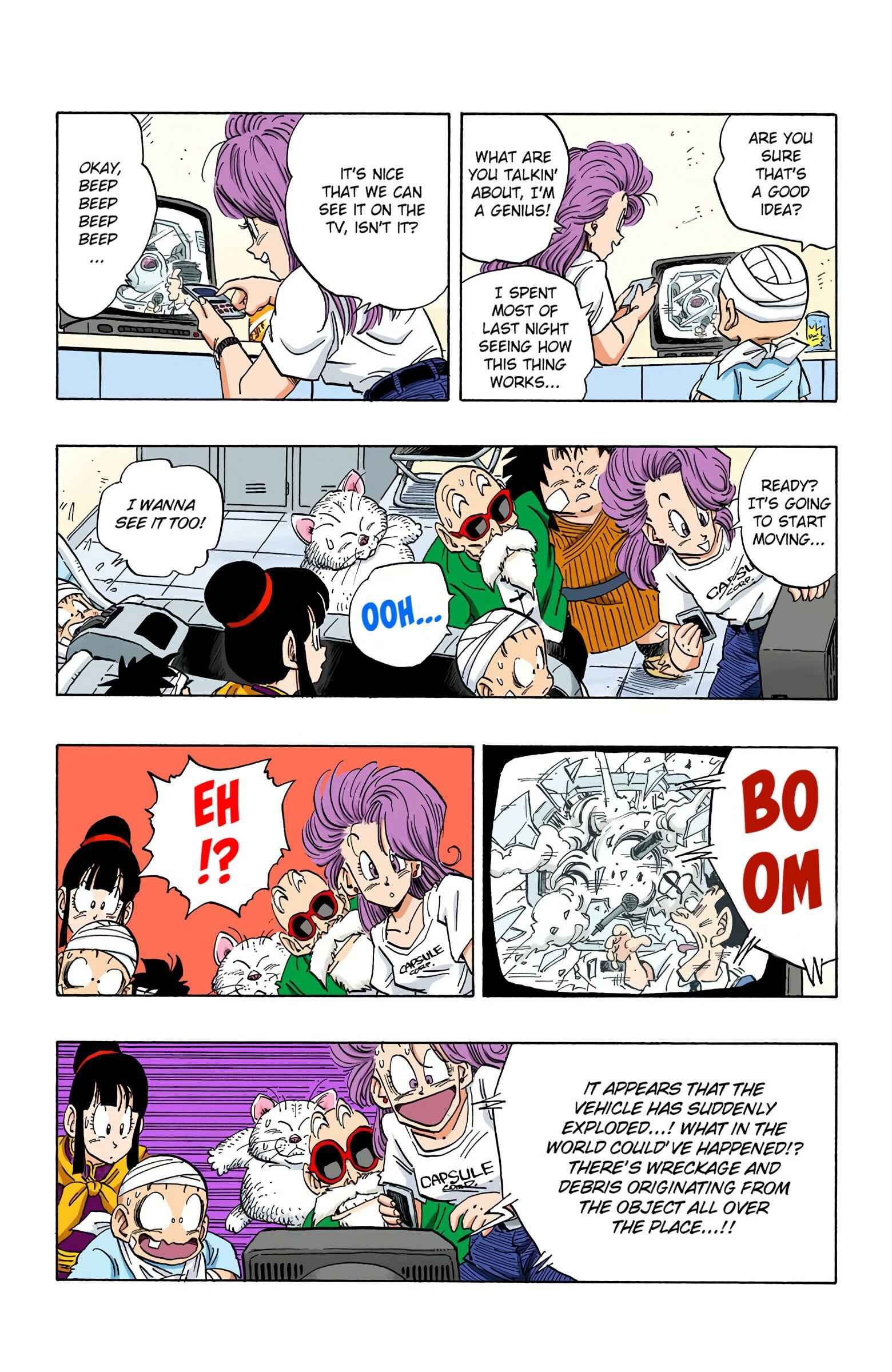 Page 13 Chapter 243 Dragon Ball (Official Colored)