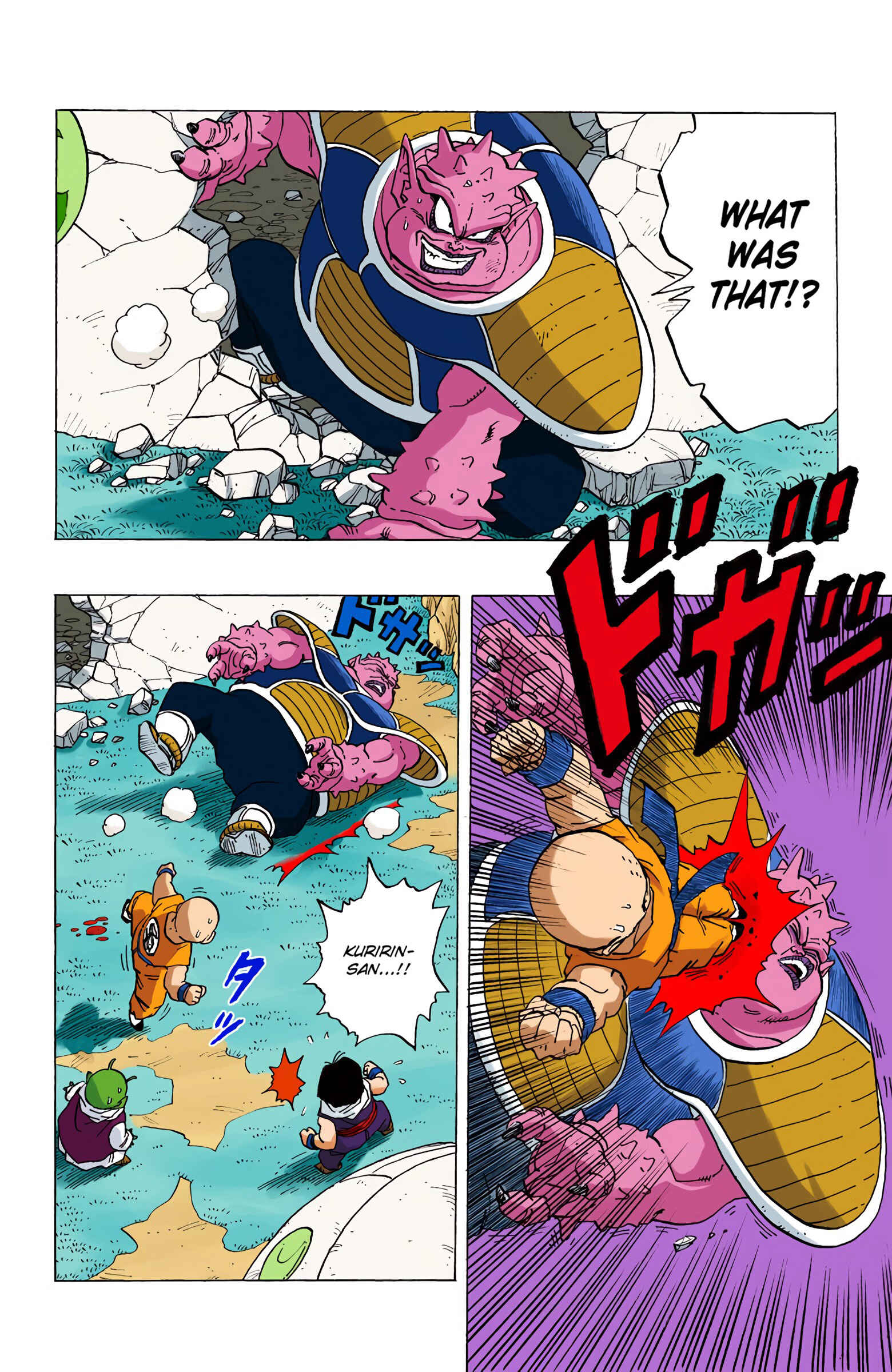 Page 12 Chapter 255 Dragon Ball (Official Colored)