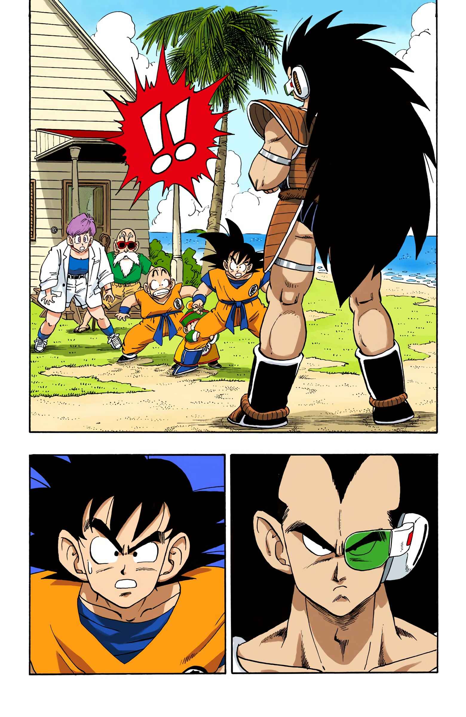 Page 12 Chapter 196 Dragon Ball (Official Colored)