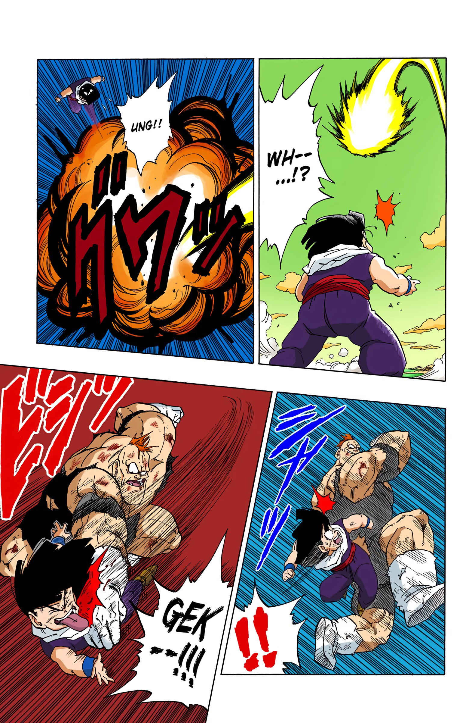 Page 13 Chapter 277 Dragon Ball (Official Colored)
