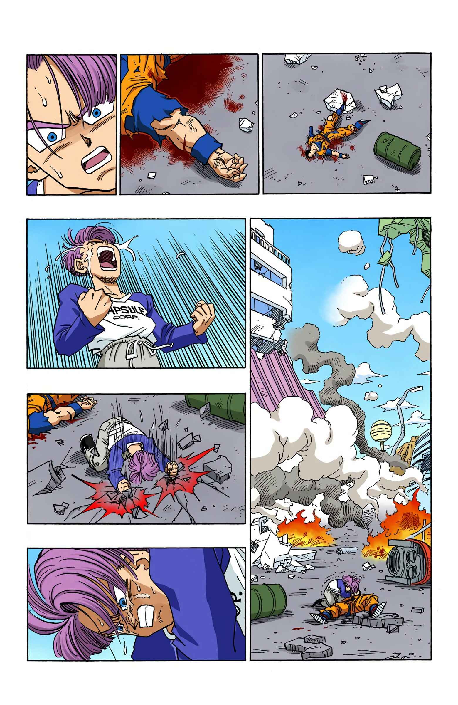 Page 13 Chapter 397.5 Dragon Ball (Official Colored)