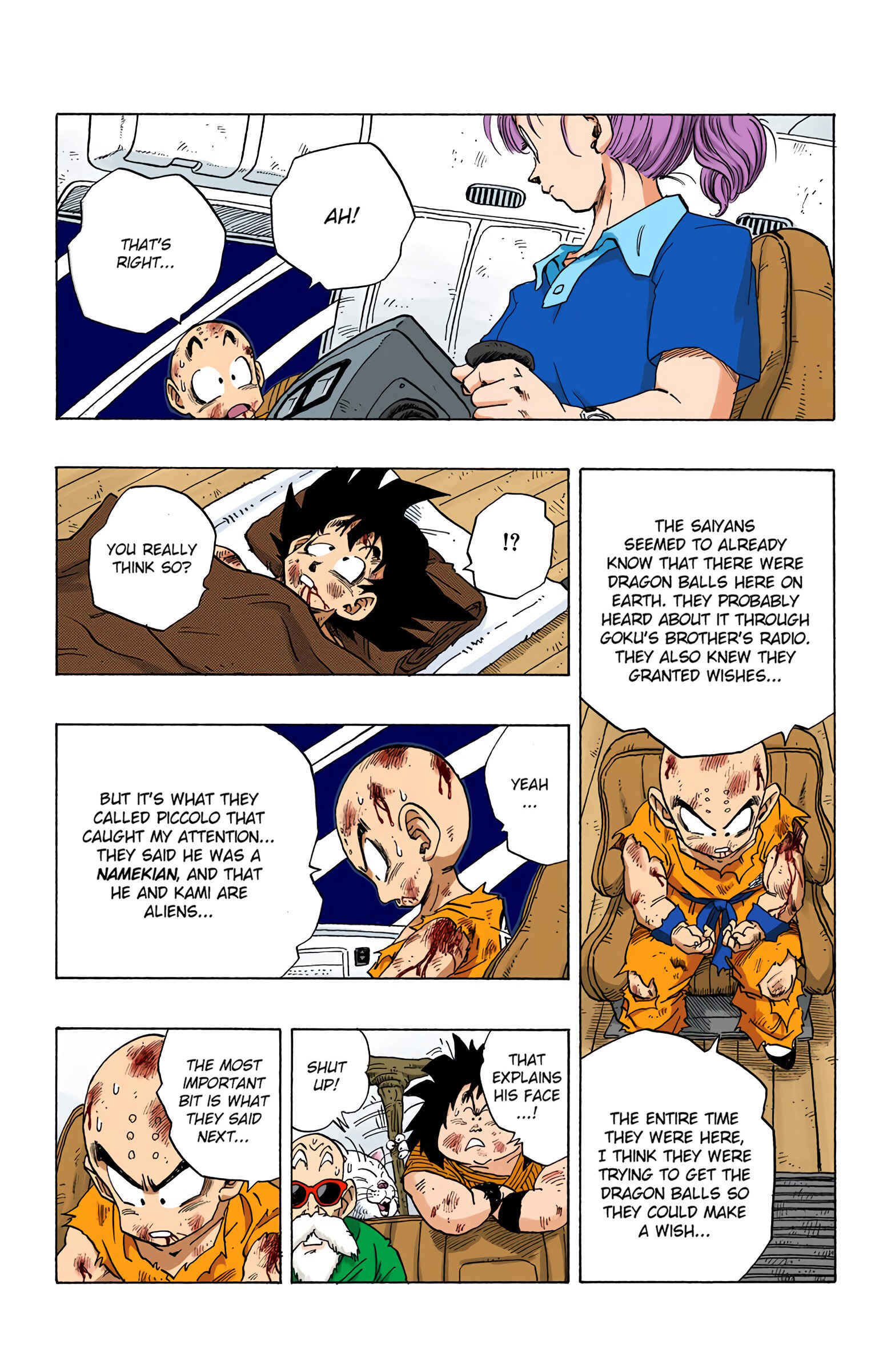 Page 13 Chapter 242 Dragon Ball (Official Colored)