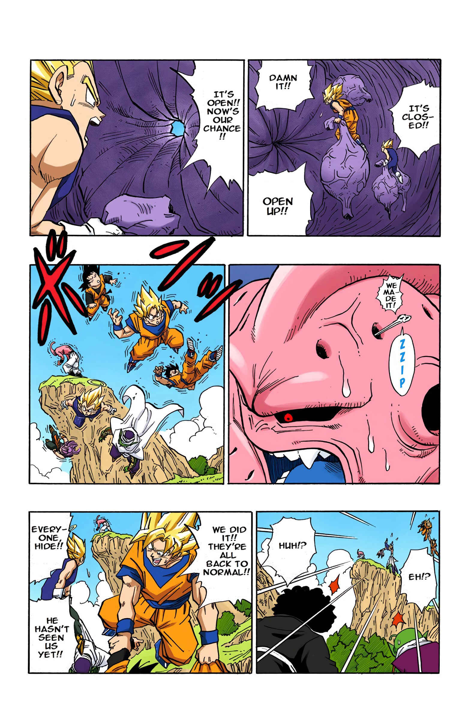 Page 12 Chapter 507 Dragon Ball (Official Colored)