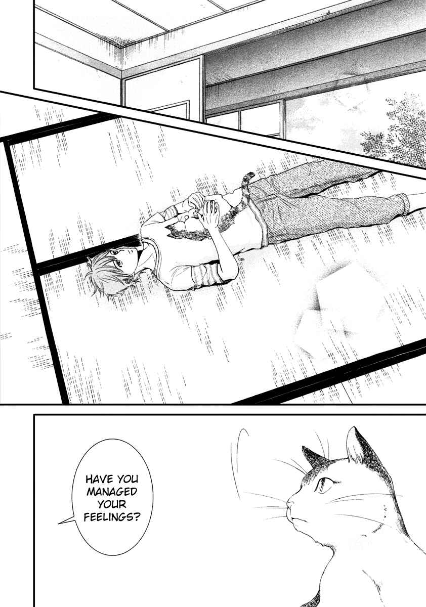 Page 20 Chapter 41 Kore wa Koi no Hanashi
