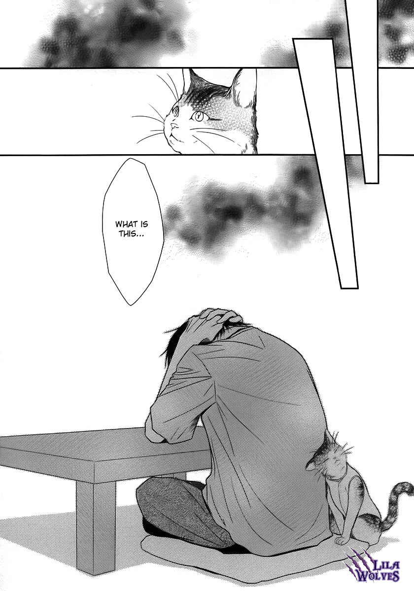 Page 38 Chapter 37 Kore wa Koi no Hanashi