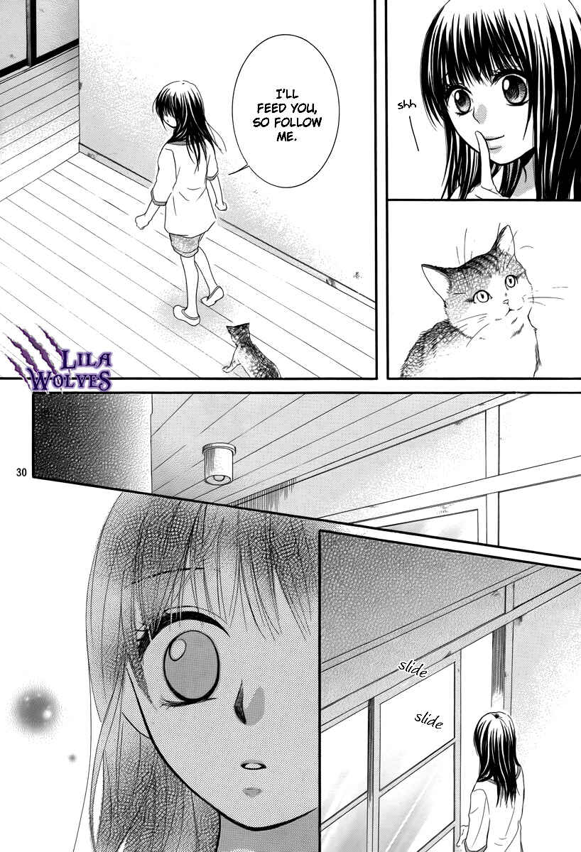 Page 37 Chapter 20 Kore wa Koi no Hanashi