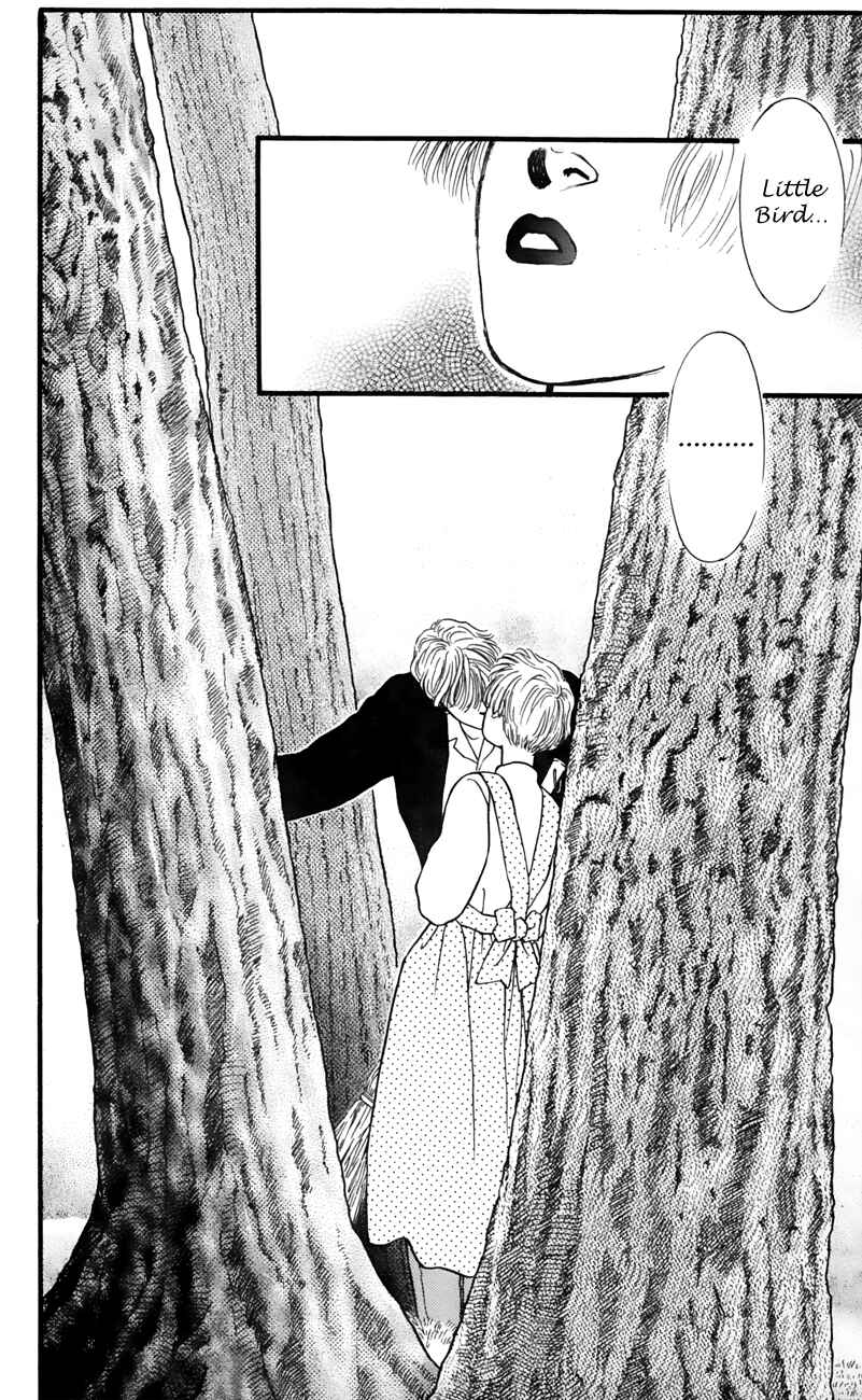 Page 41 Chapter 53 For the Sake of the Rose