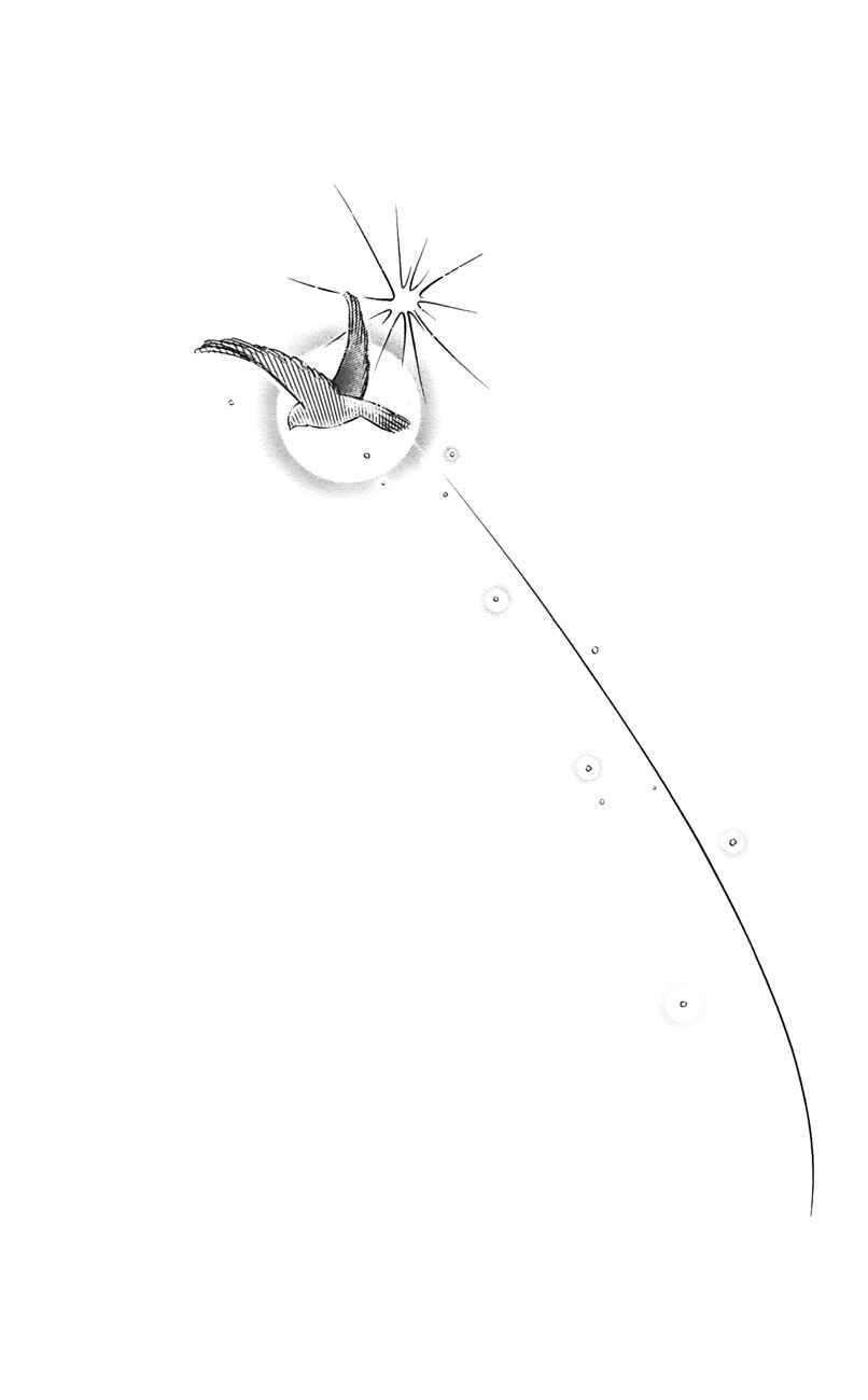 Page 41 Chapter 57 For the Sake of the Rose