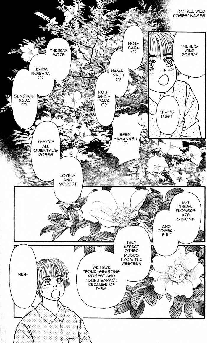 Page 33 Chapter 38 For the Sake of the Rose