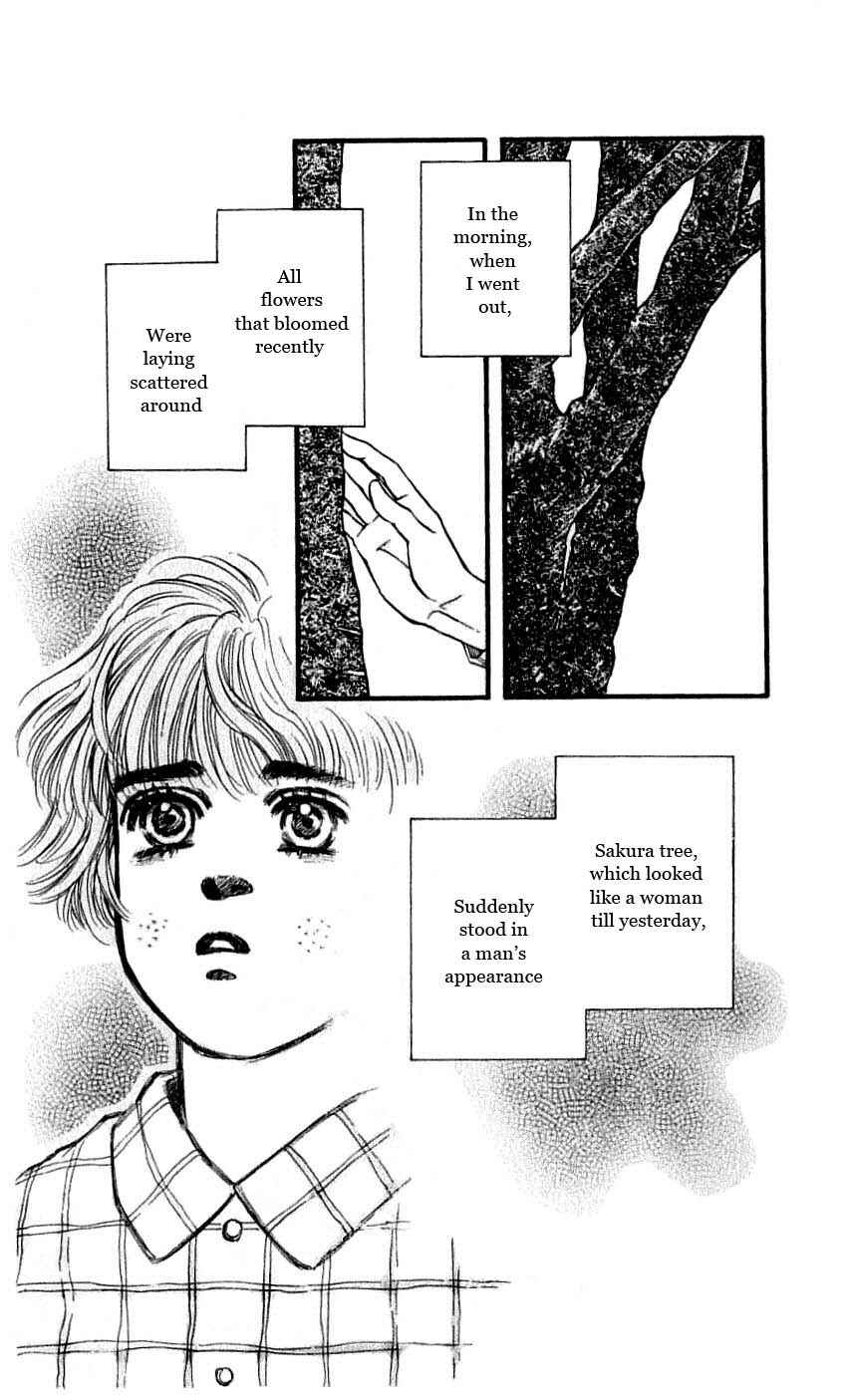 Page 42 Chapter 48 For the Sake of the Rose