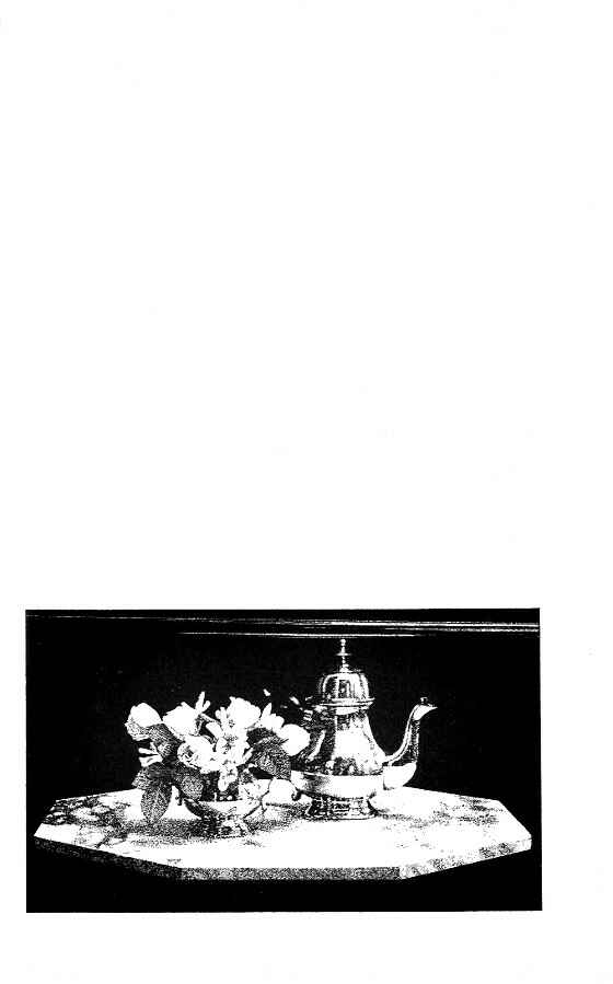 Page 4 Chapter 12 For the Sake of the Rose
