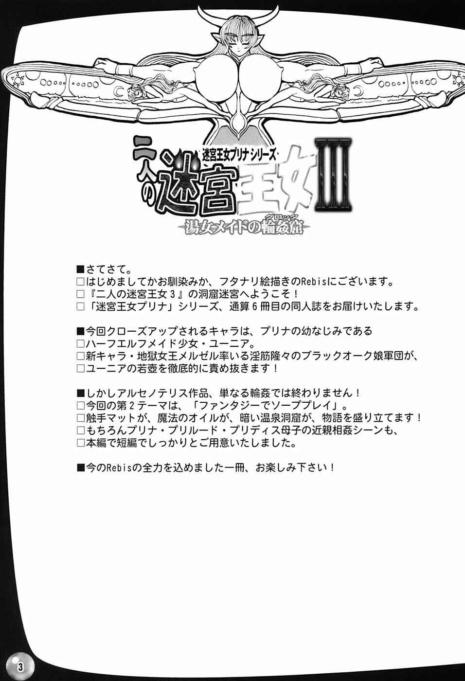Page 3 Chapter 3 Futari no Meikyuu Oujo