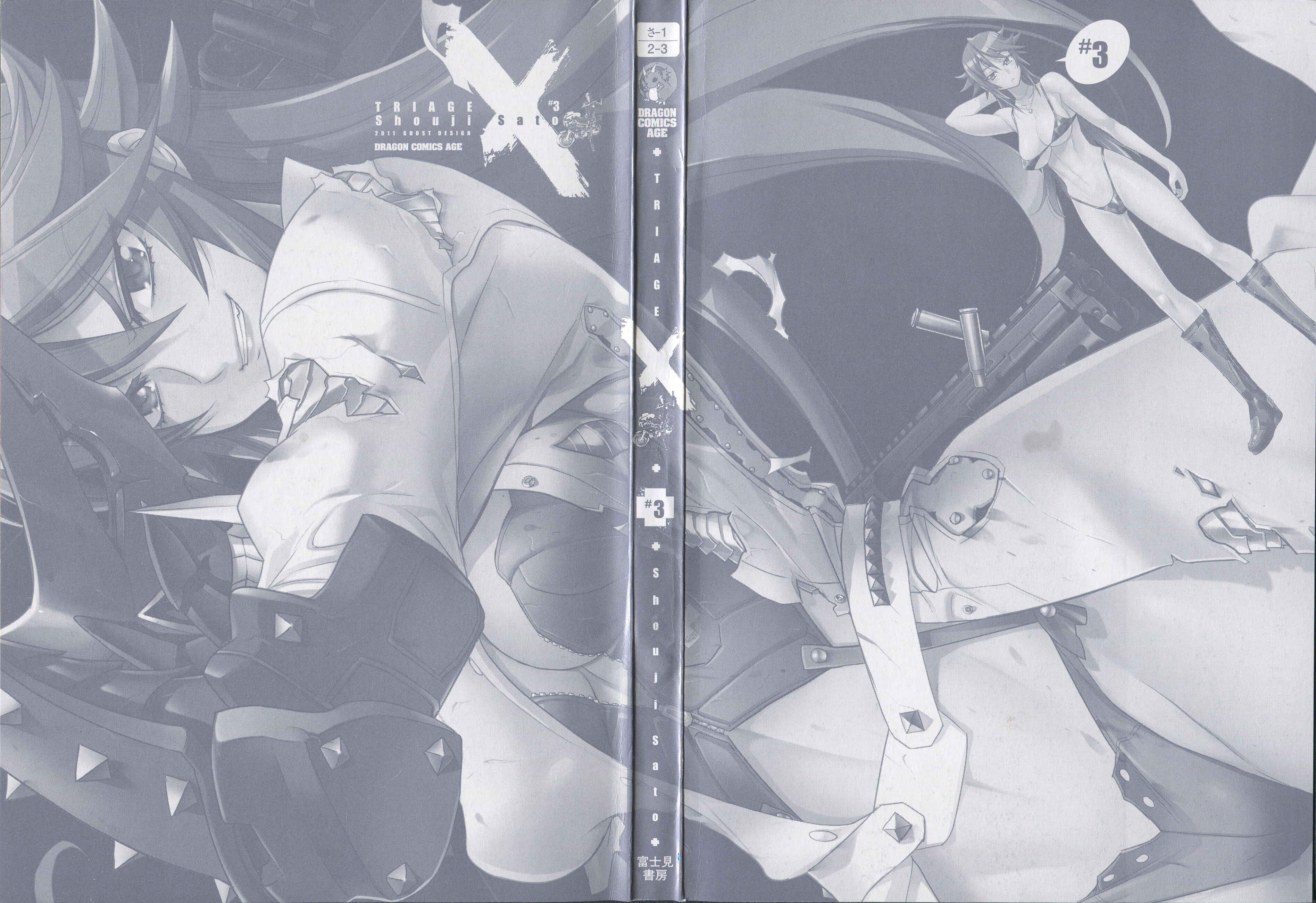 Page 3 Chapter 12 Triage X